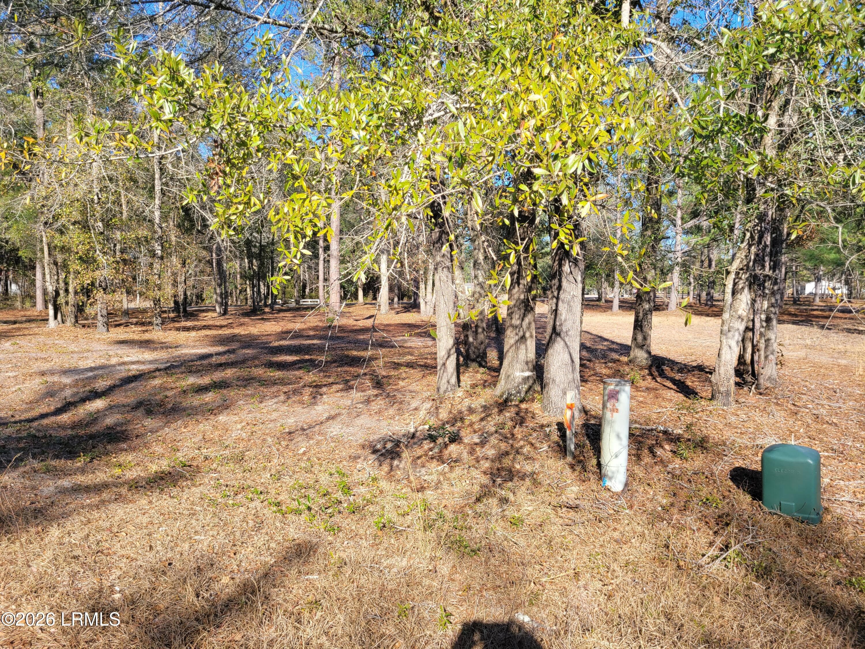 Beaver Dam Rd at Beaver Creek w electric - Tbd Beaver Dam Road, Ridgeland, SC 29936, Ridgeland