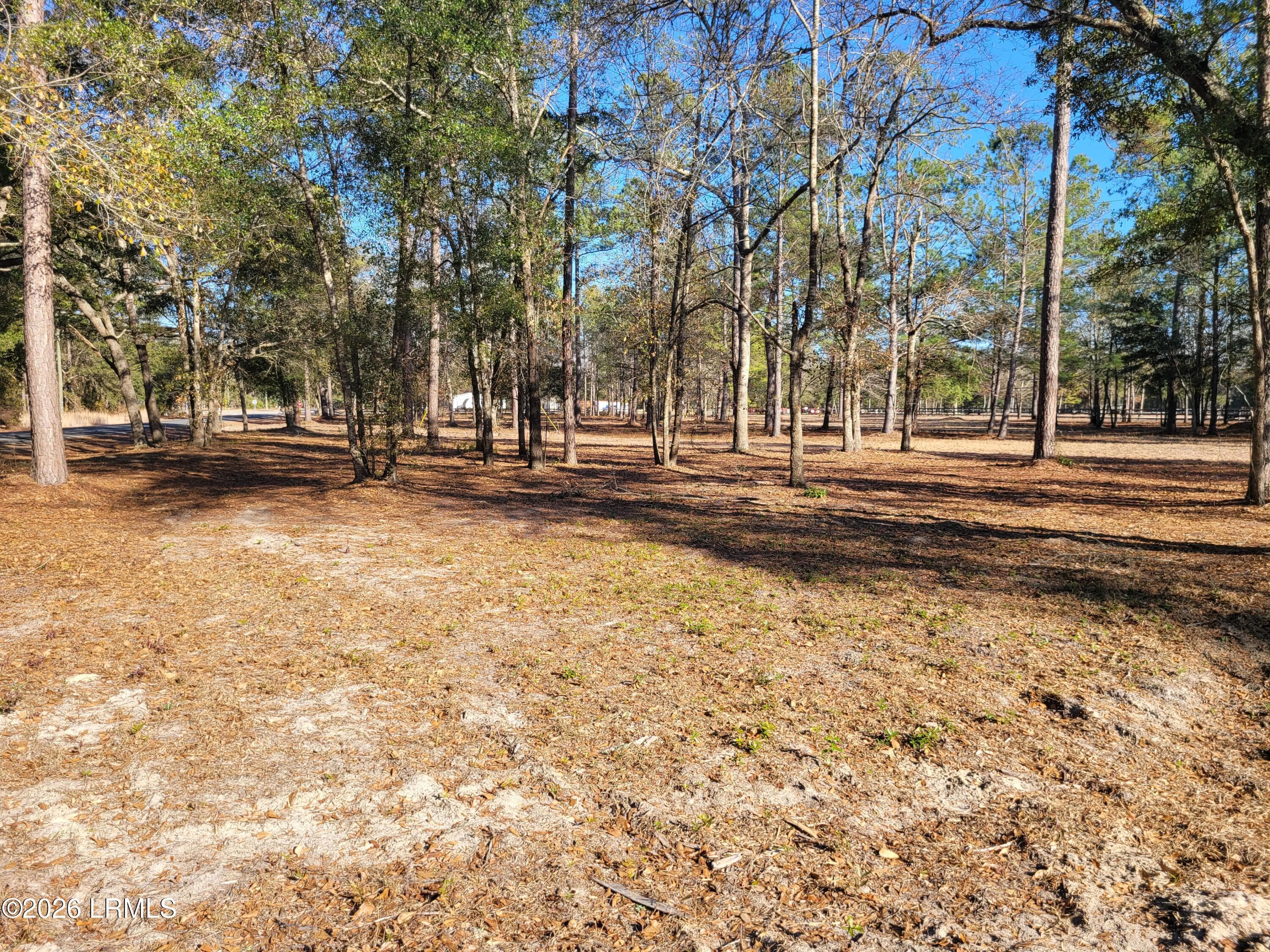 Beaver Dam Rd drom the rooad - Tbd Beaver Dam Road, Ridgeland, SC 29936, Ridgeland