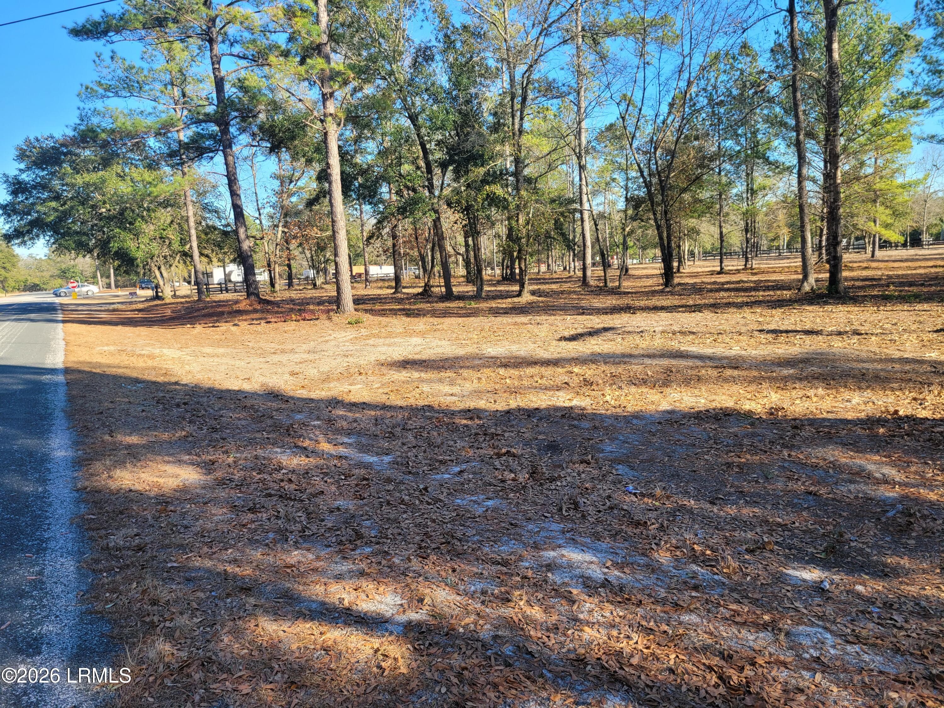 BeaverDam Rd Frontage - Tbd Beaver Dam Road, Ridgeland, SC 29936, Ridgeland