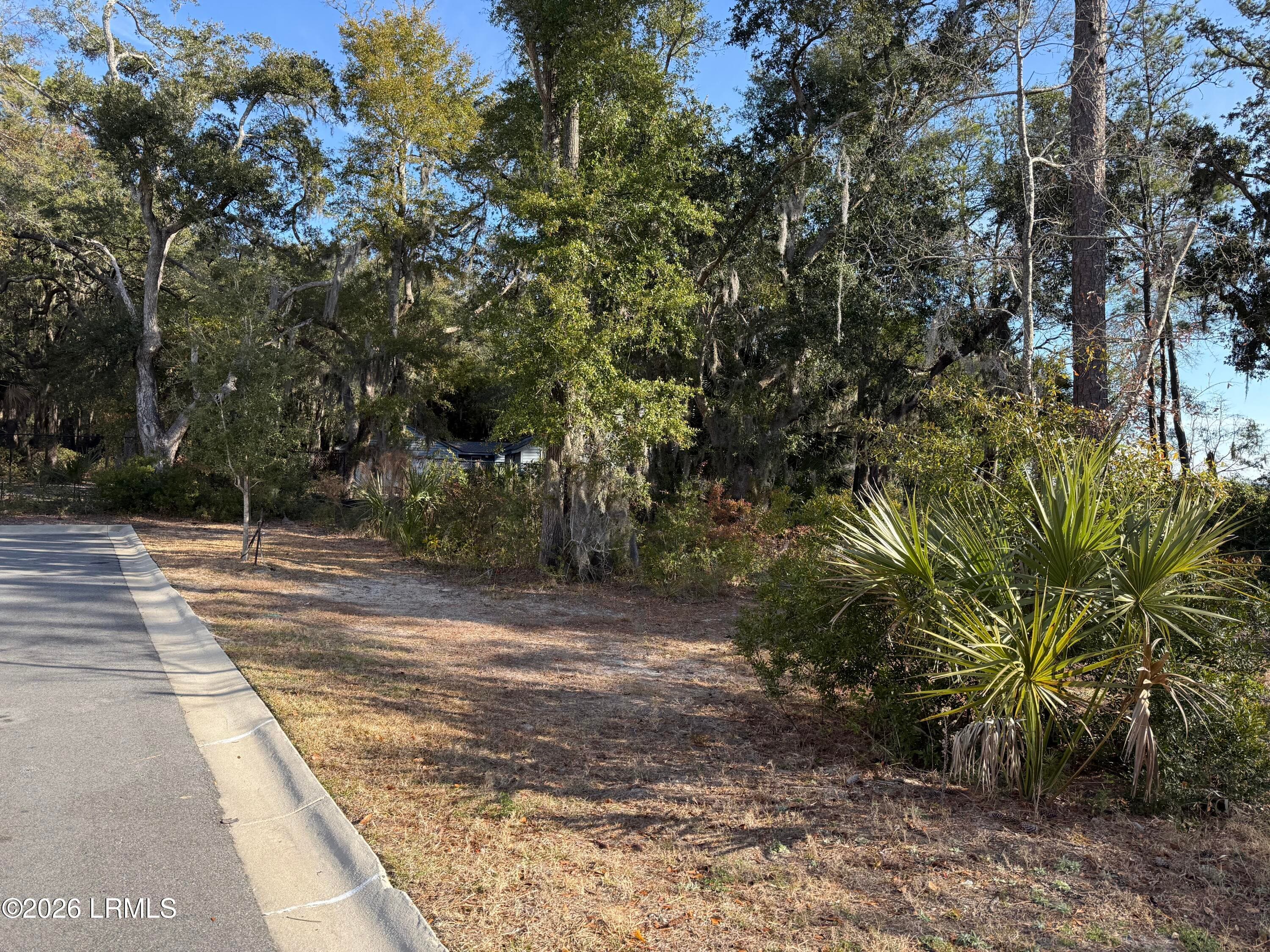 IMG_4795 - 1 Shallow Run Lane, Beaufort, SC 29907