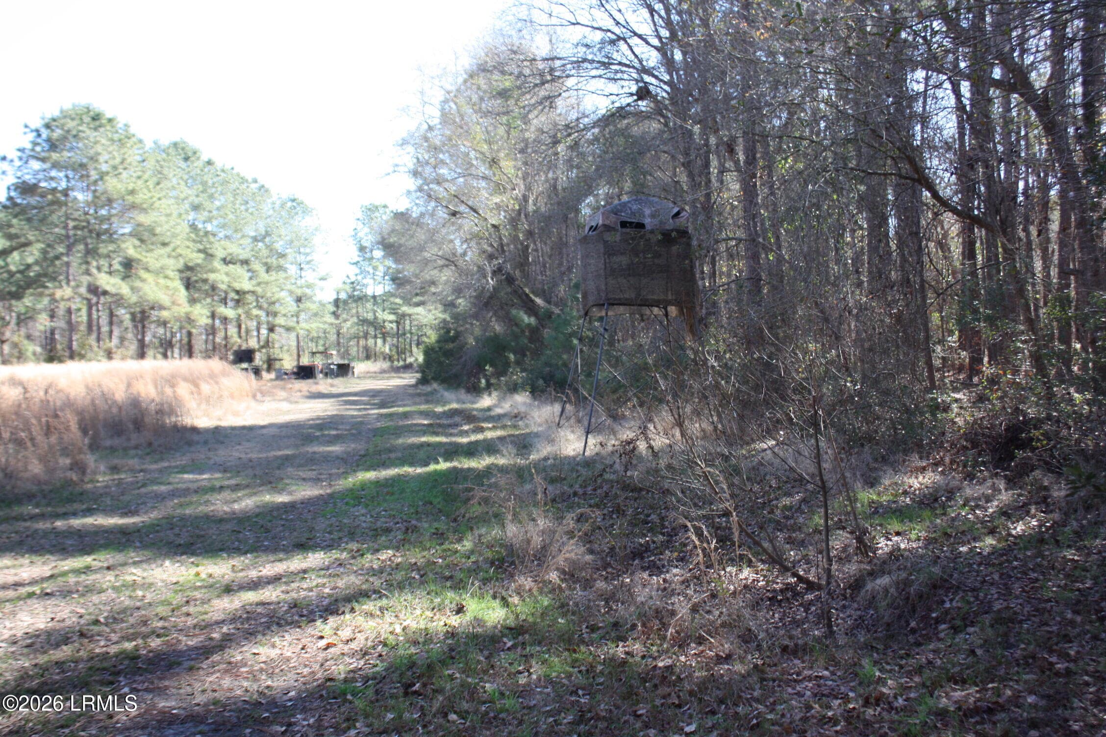 IMG_9018 - 2650 Joe Miley Road, Brunson, SC 29911