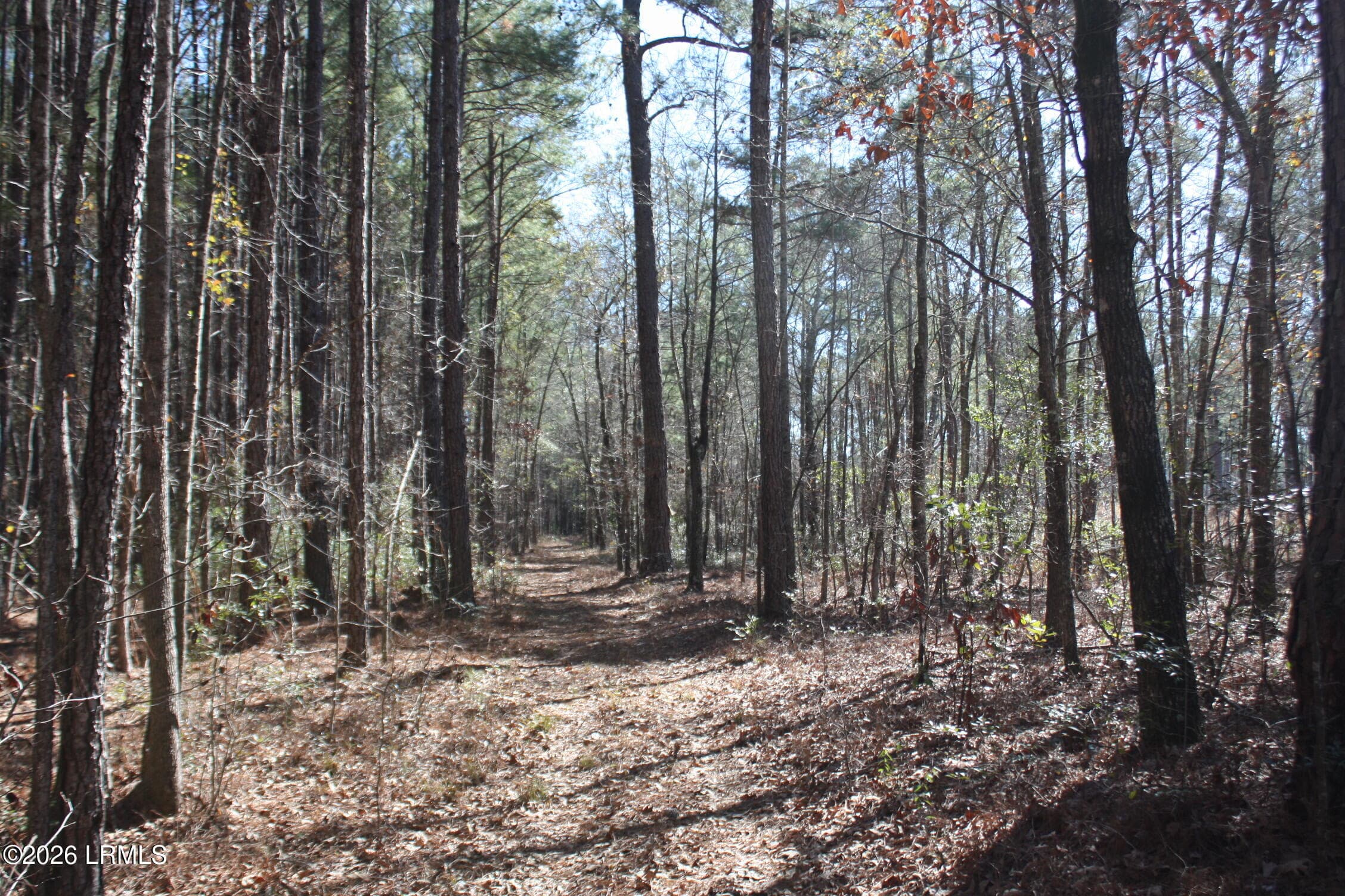IMG_9020 - 2650 Joe Miley Road, Brunson, SC 29911