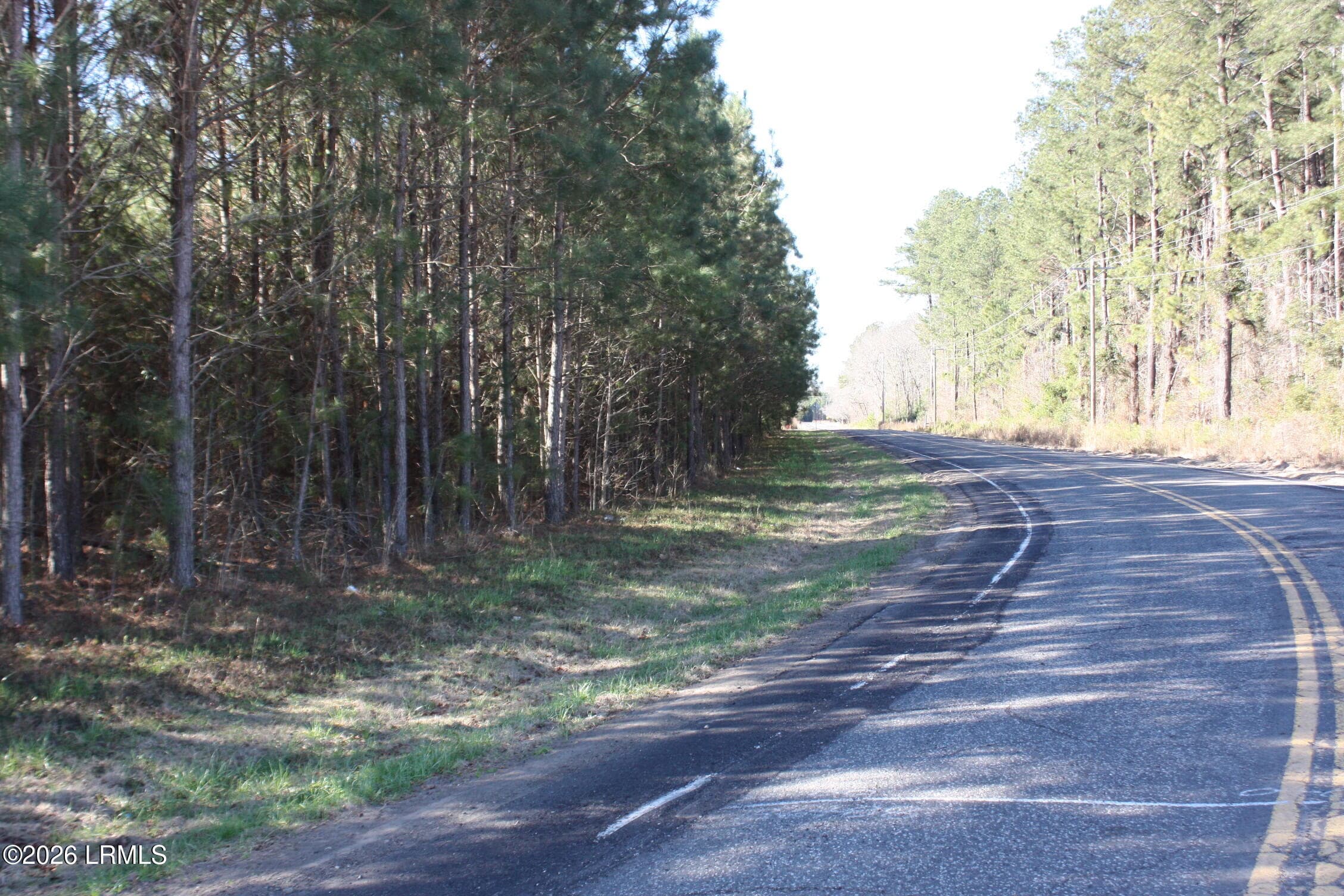IMG_8998 - 2650 Joe Miley Road, Brunson, SC 29911