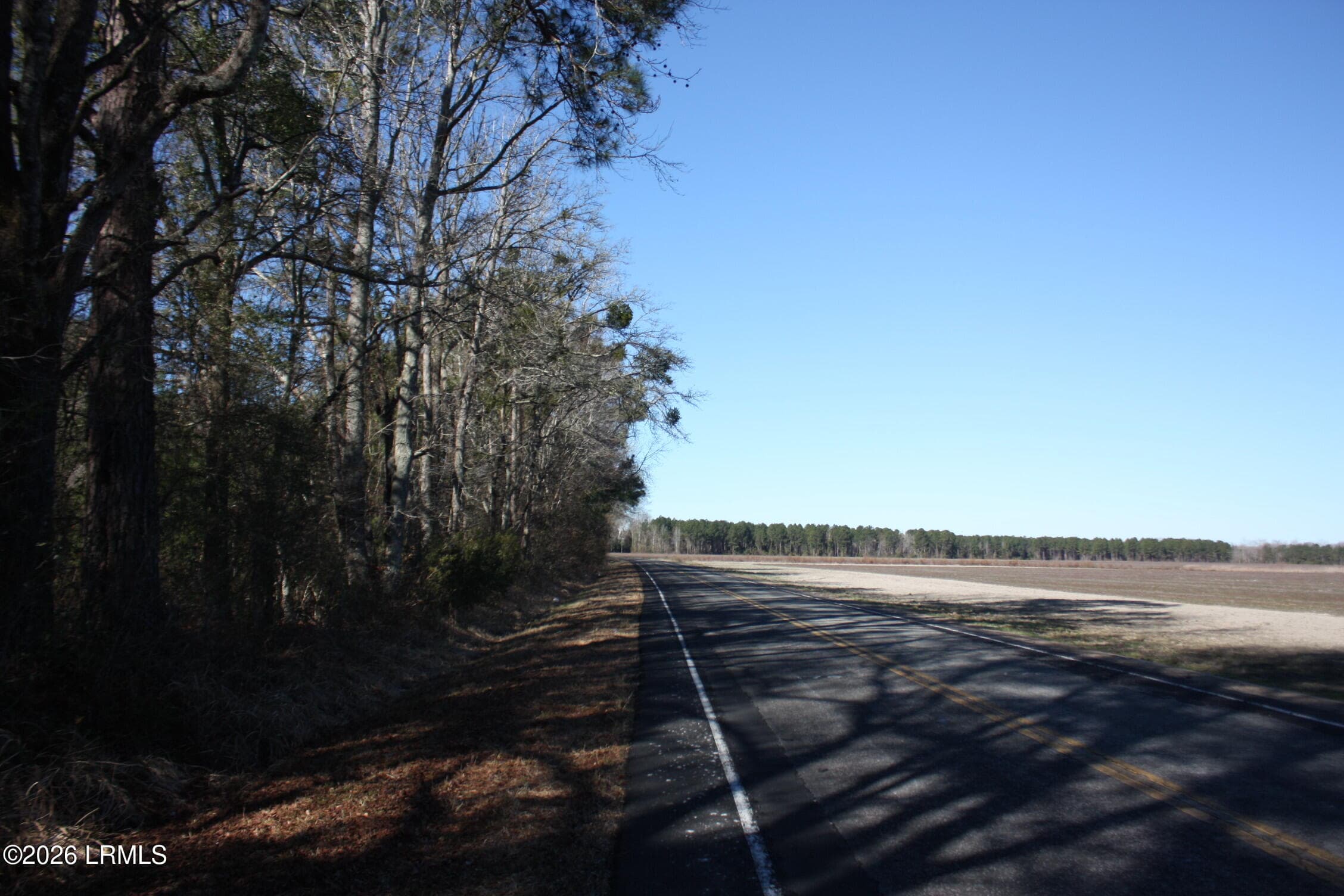 IMG_9001 - 2650 Joe Miley Road, Brunson, SC 29911