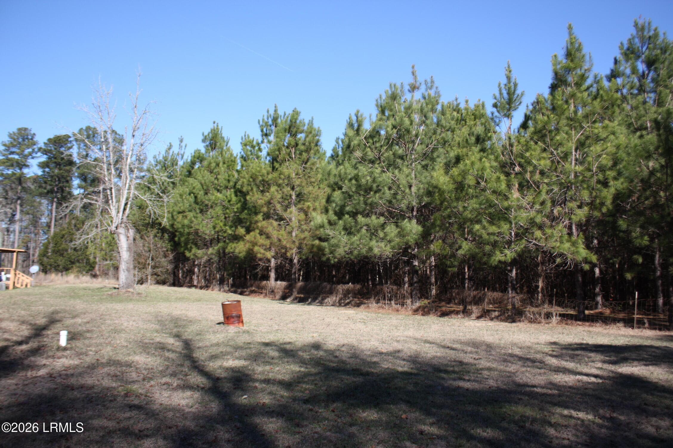 IMG_9006 - 2650 Joe Miley Road, Brunson, SC 29911