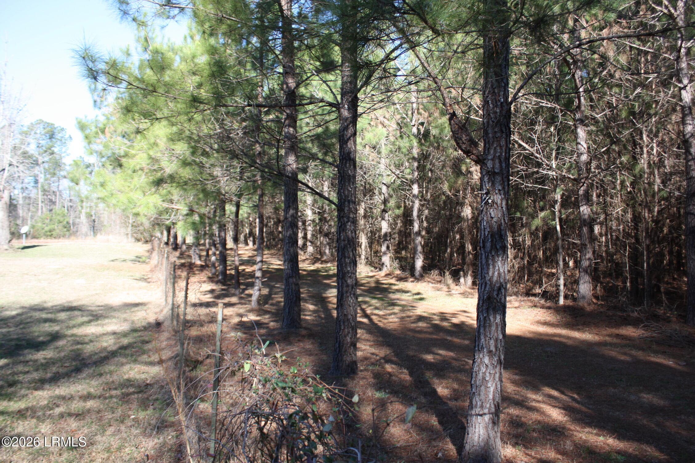 IMG_9008 - 2650 Joe Miley Road, Brunson, SC 29911