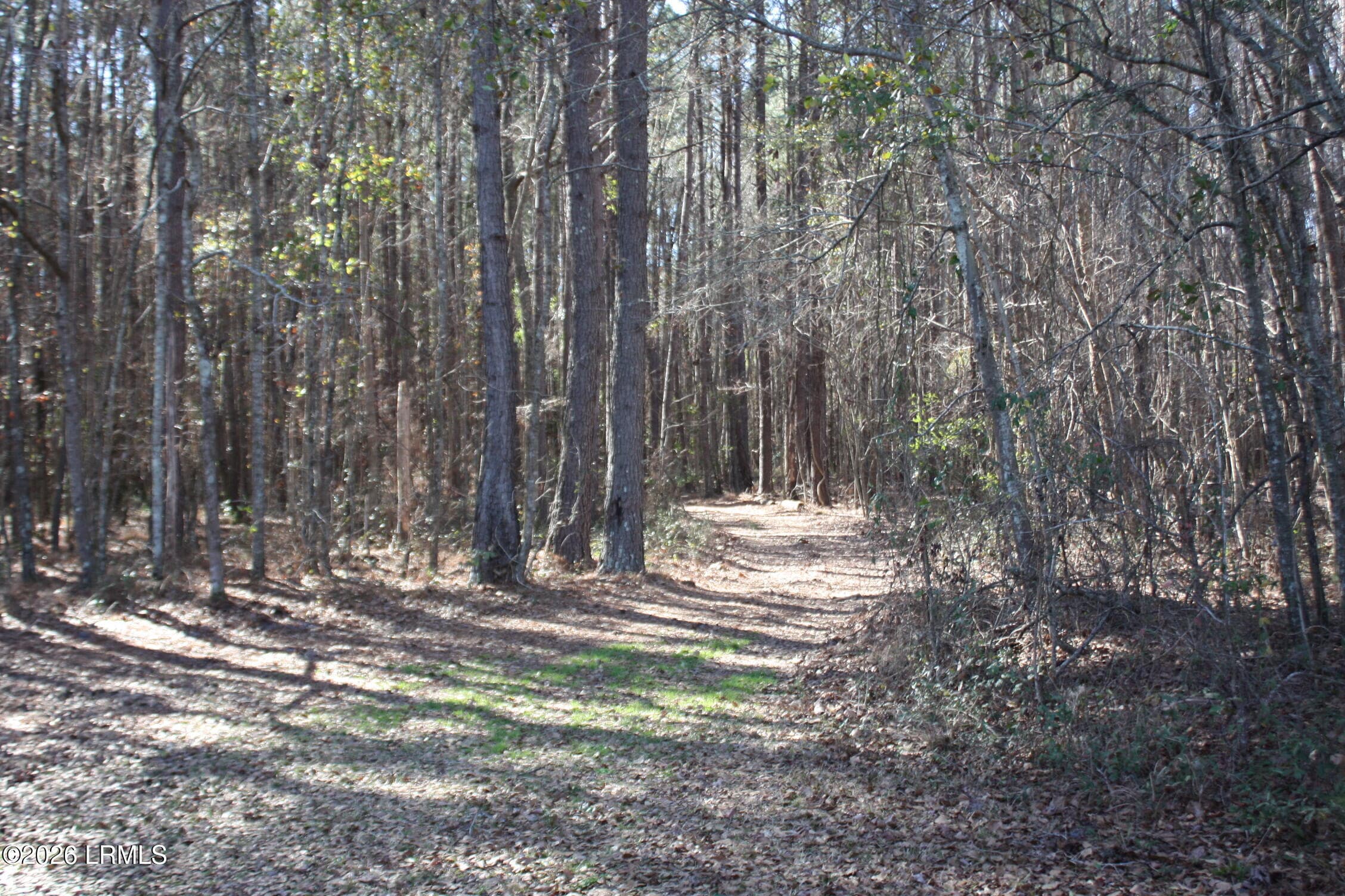 IMG_9009 - 2650 Joe Miley Road, Brunson, SC 29911
