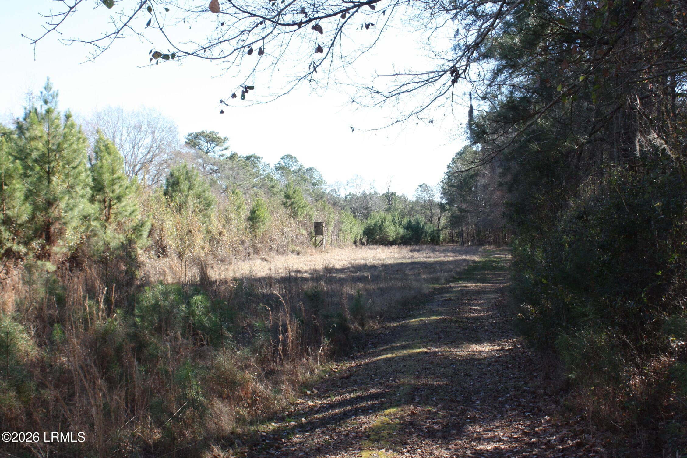 IMG_9010 - 2650 Joe Miley Road, Brunson, SC 29911