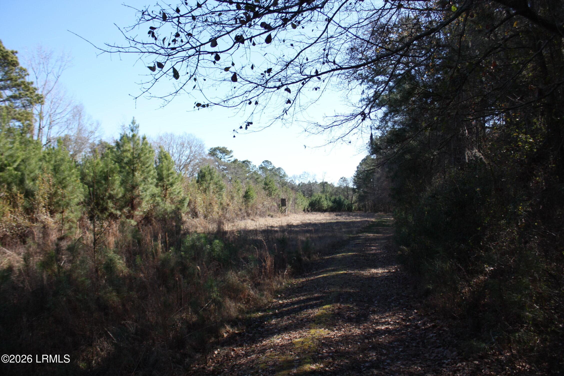 IMG_9011 - 2650 Joe Miley Road, Brunson, SC 29911
