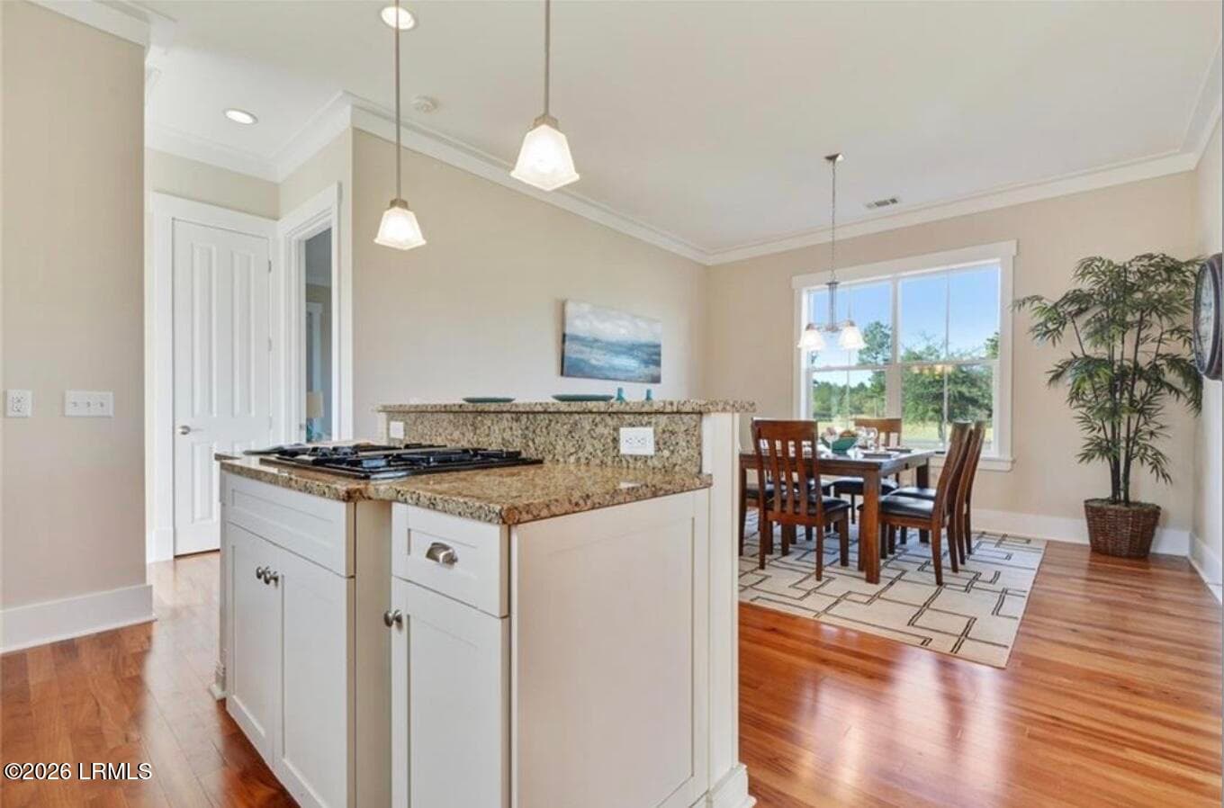 Image 2-26-26 at 5.01PM (1) - 243 Redbud Lane, Hardeeville, SC 29927