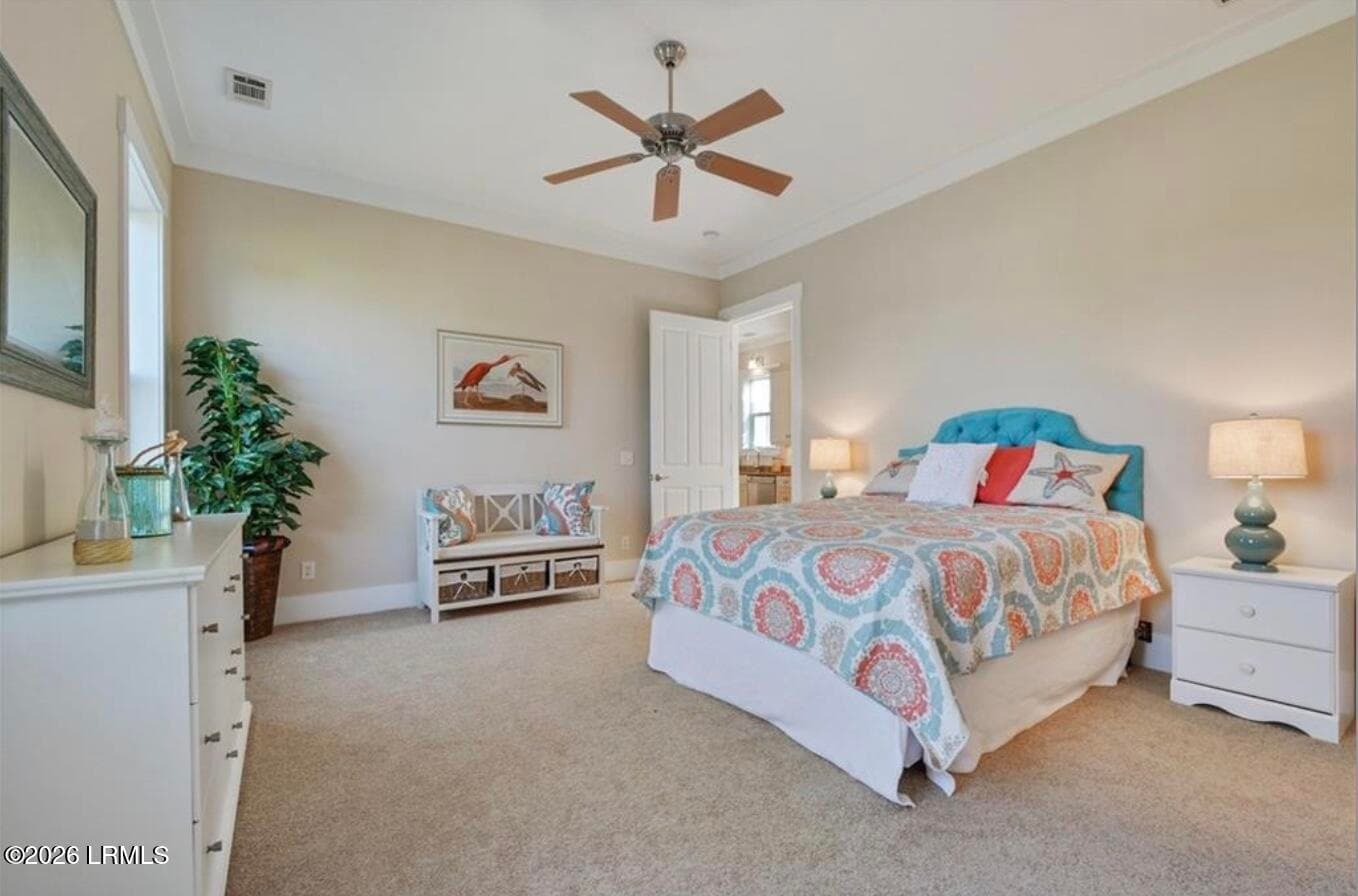 Image 2-26-26 at 5.02PM - 243 Redbud Lane, Hardeeville, SC 29927