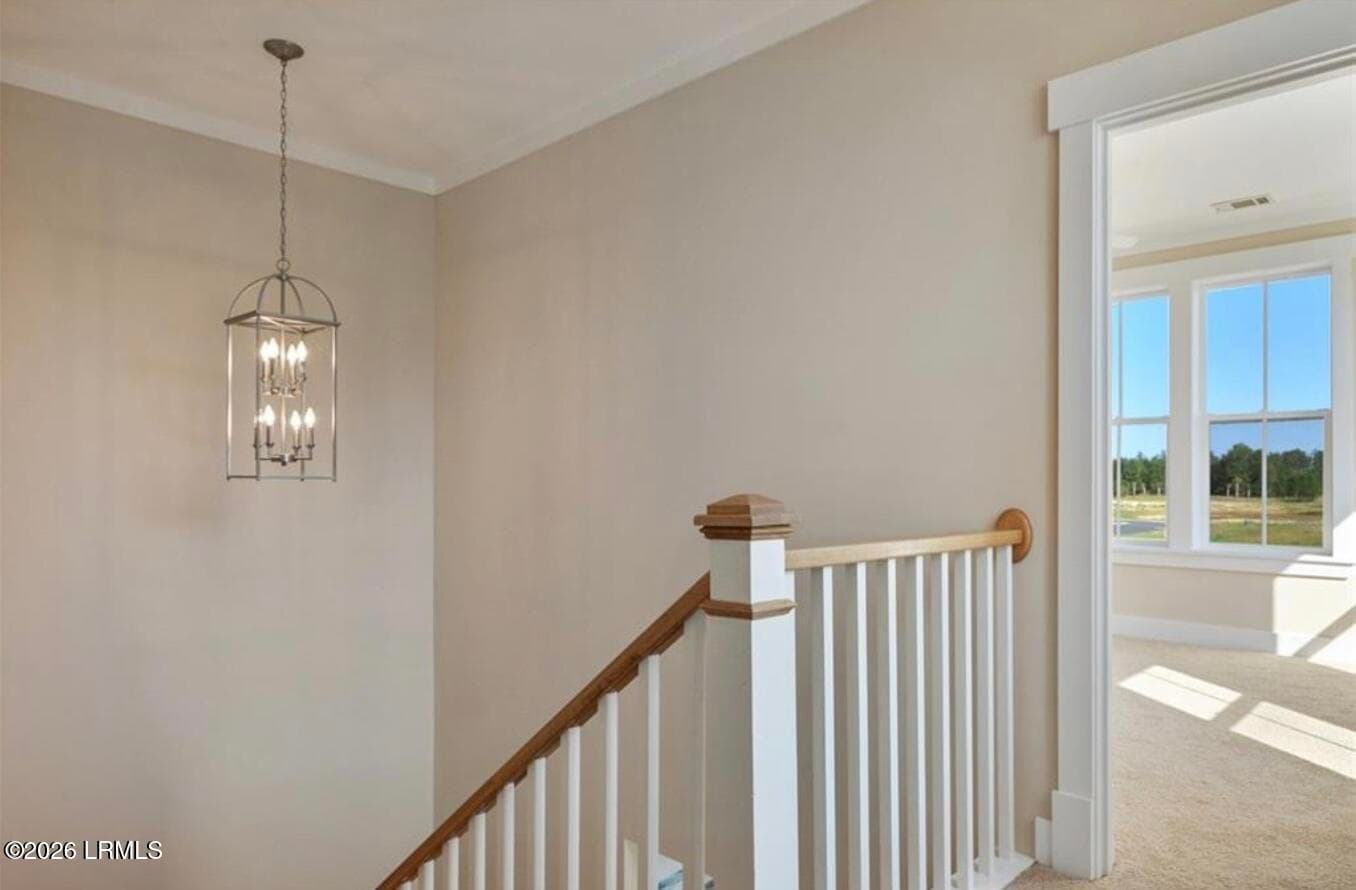 Image 2-26-26 at 5.07PM - 243 Redbud Lane, Hardeeville, SC 29927
