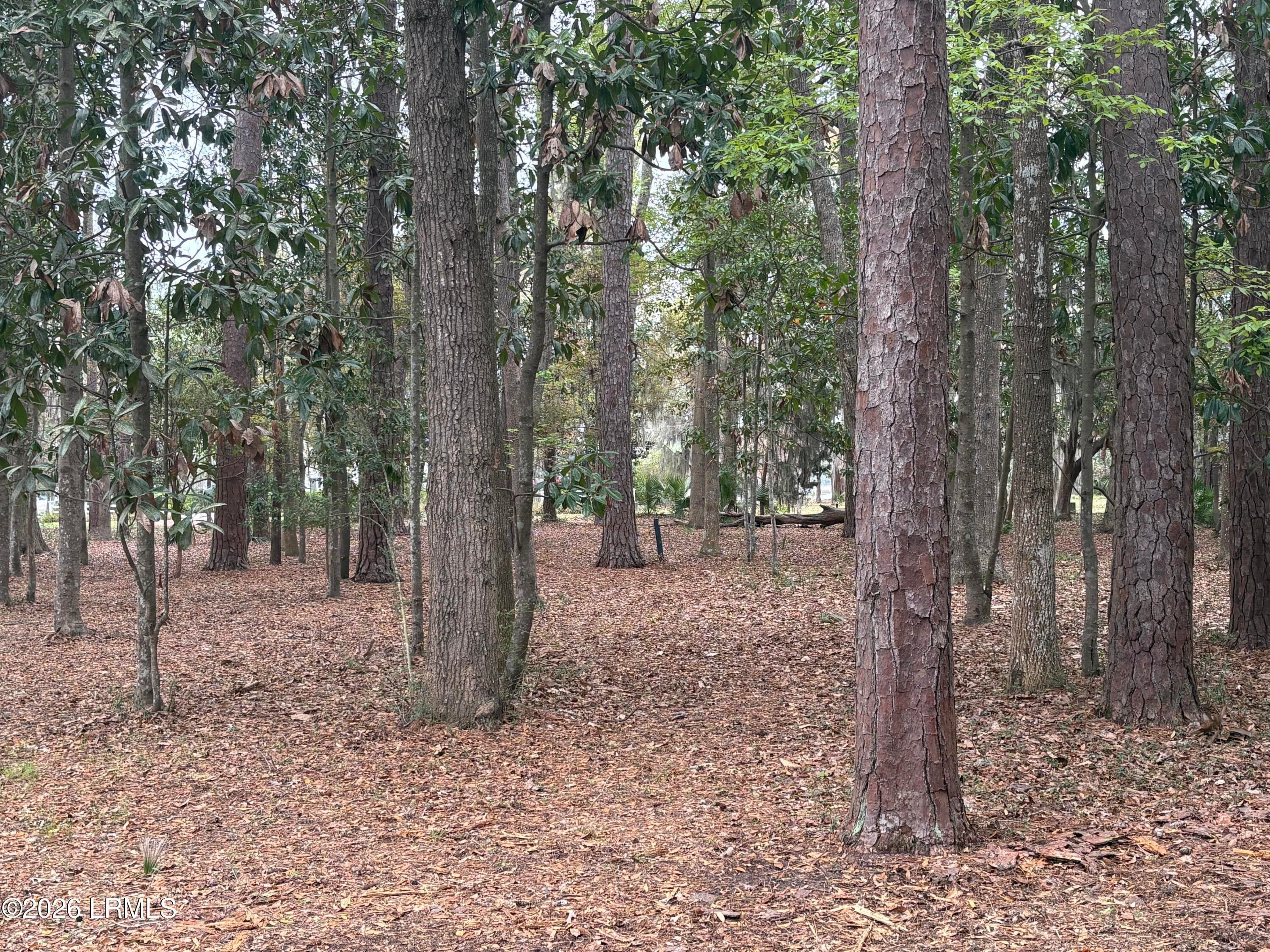 417 Battery Chase, Beaufort, SC 29902