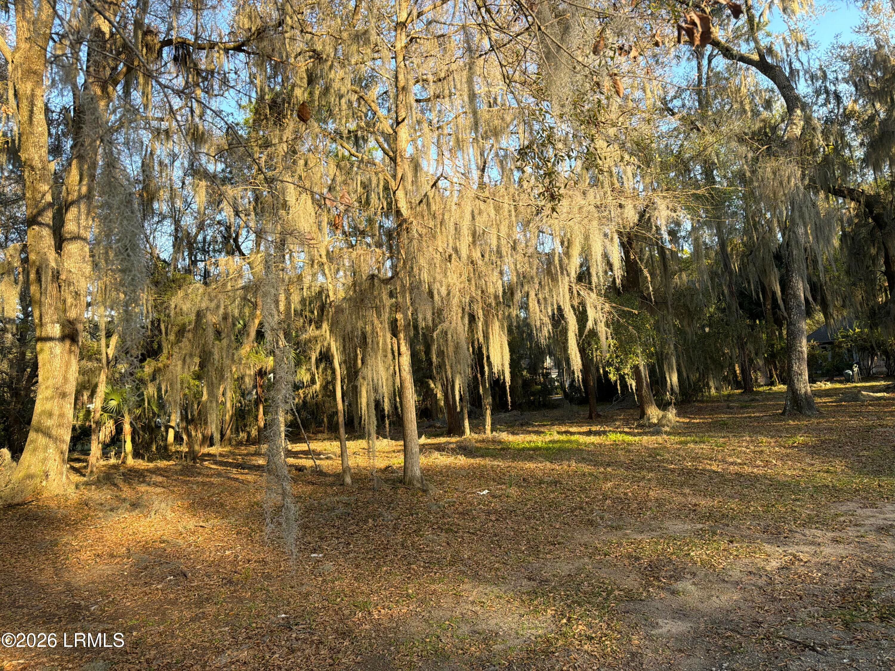 2 Woodland Ridge Circle, Beaufort, SC 29907