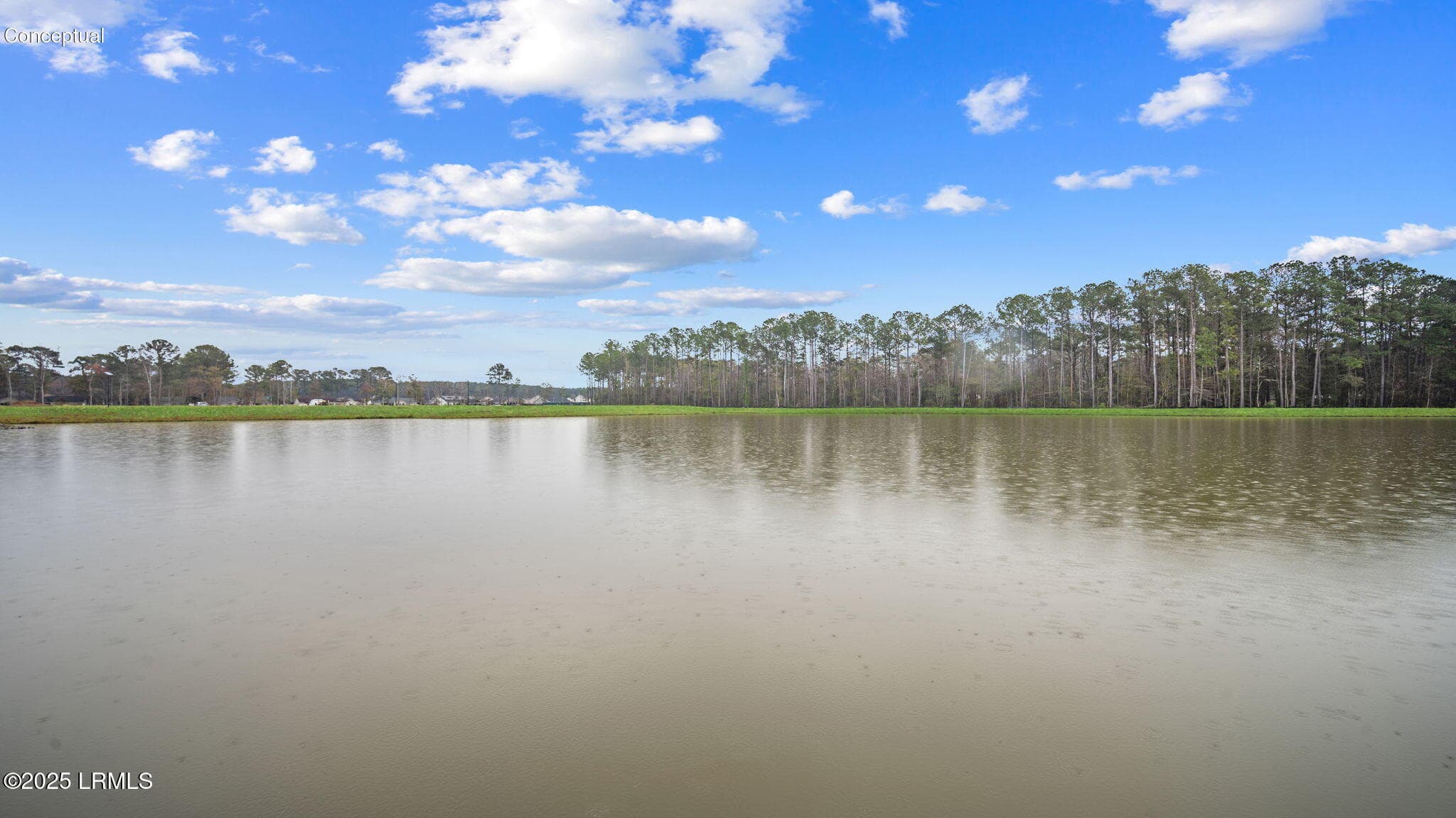 4 Pond view - 39 Pollen Drive, Ridgeland, SC 29936
