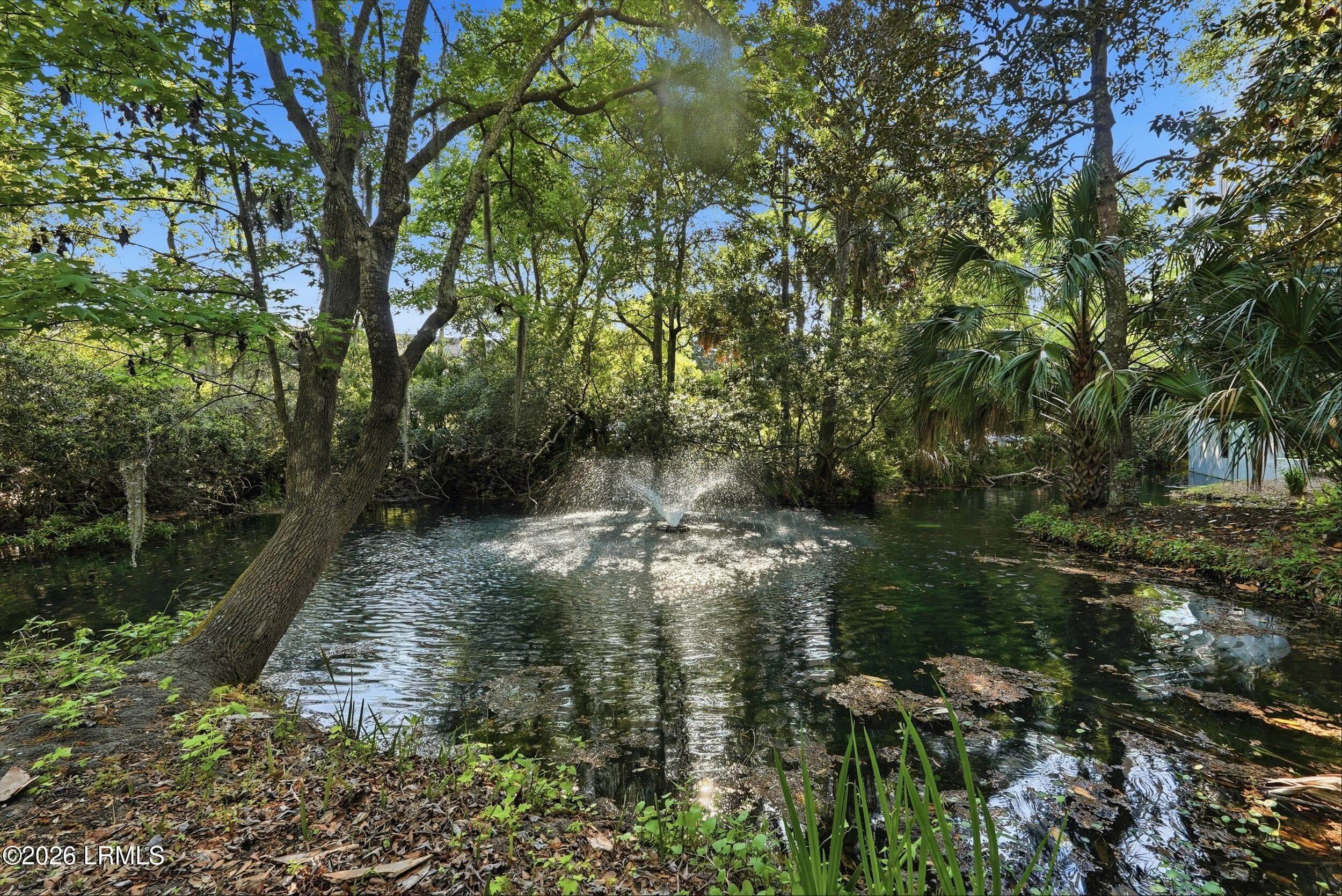 29_46_dsc02885 - 34 S Forest Beach Drive C14, Hilton Head Island, SC 29928