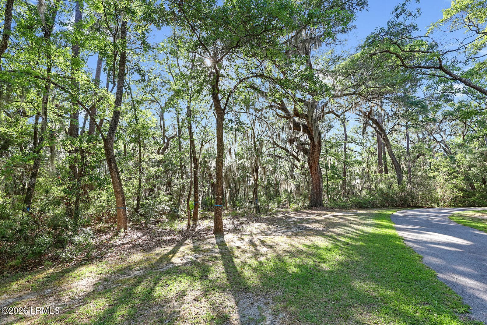 IMG_6416 - 75 Island Way, Seabrook, SC 29940, Seabrook