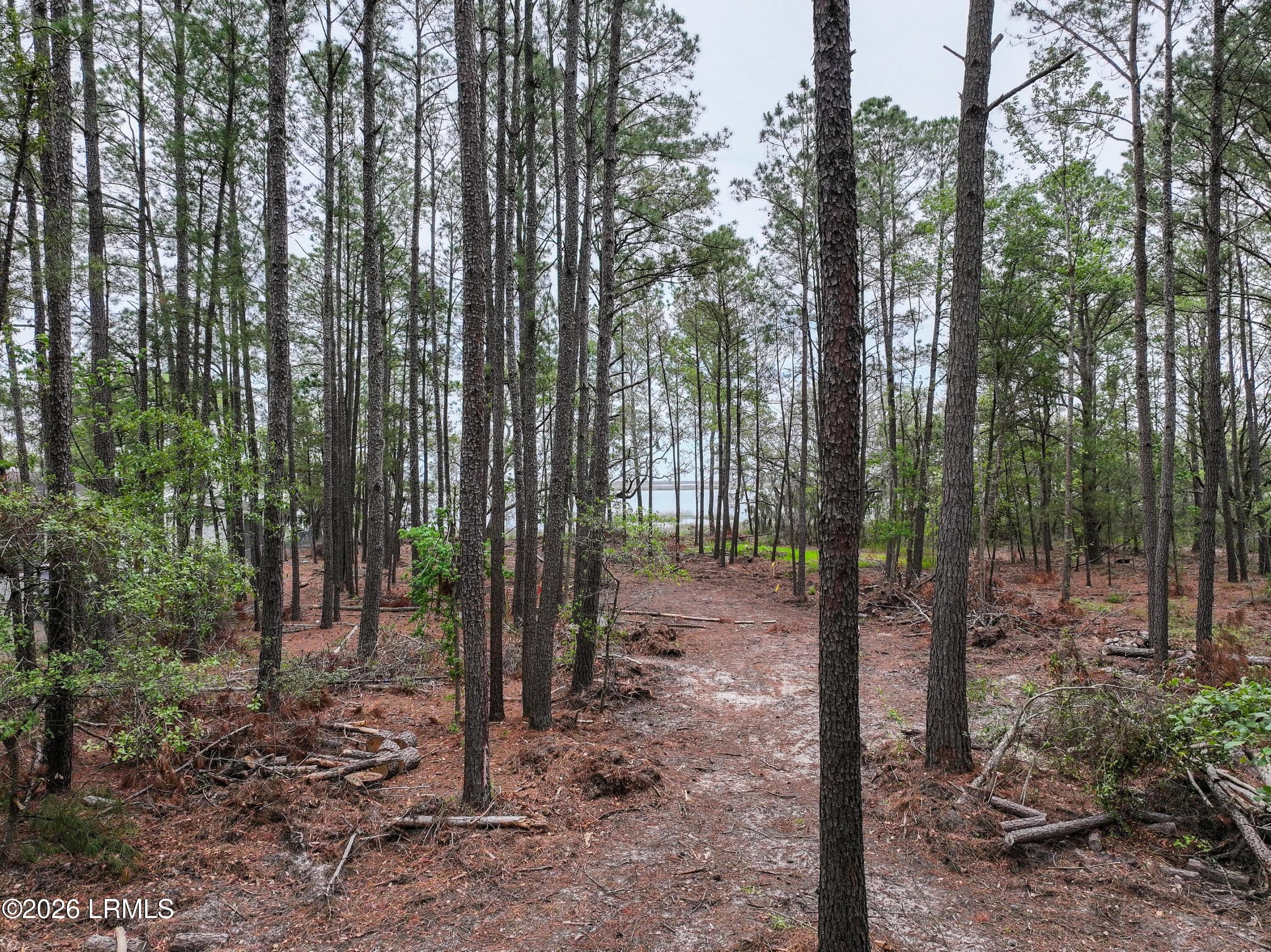 dji_fly_20260506_123050_0044_17780850827 - 34 Creekmoor Lane, Seabrook, SC 29940, Seabrook