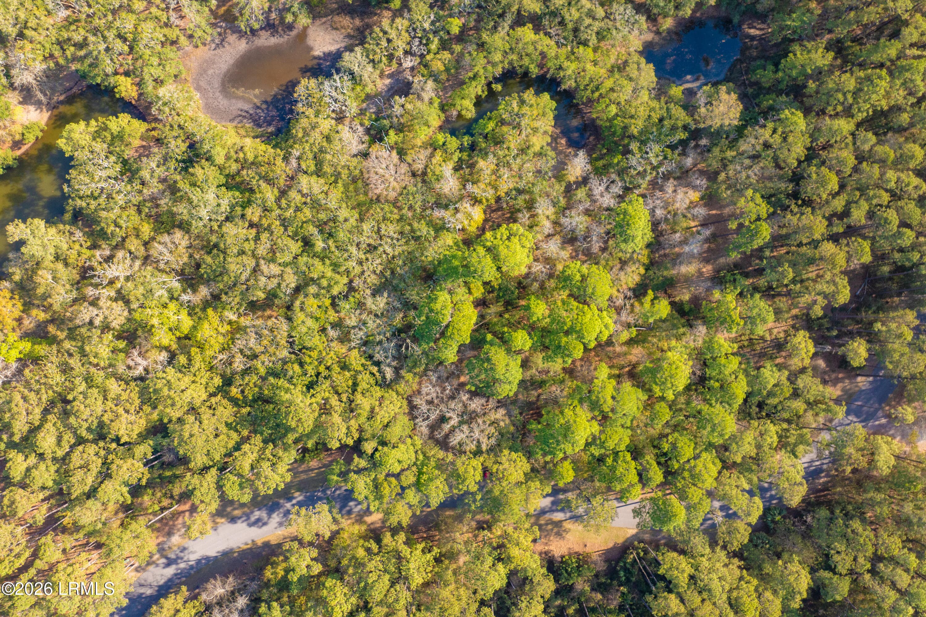 16VistaBoulevardWest-IslandHouseMedia-00 - 15 Vista Boulevard W, St. Helena Island, SC 29920, St. Helena Island