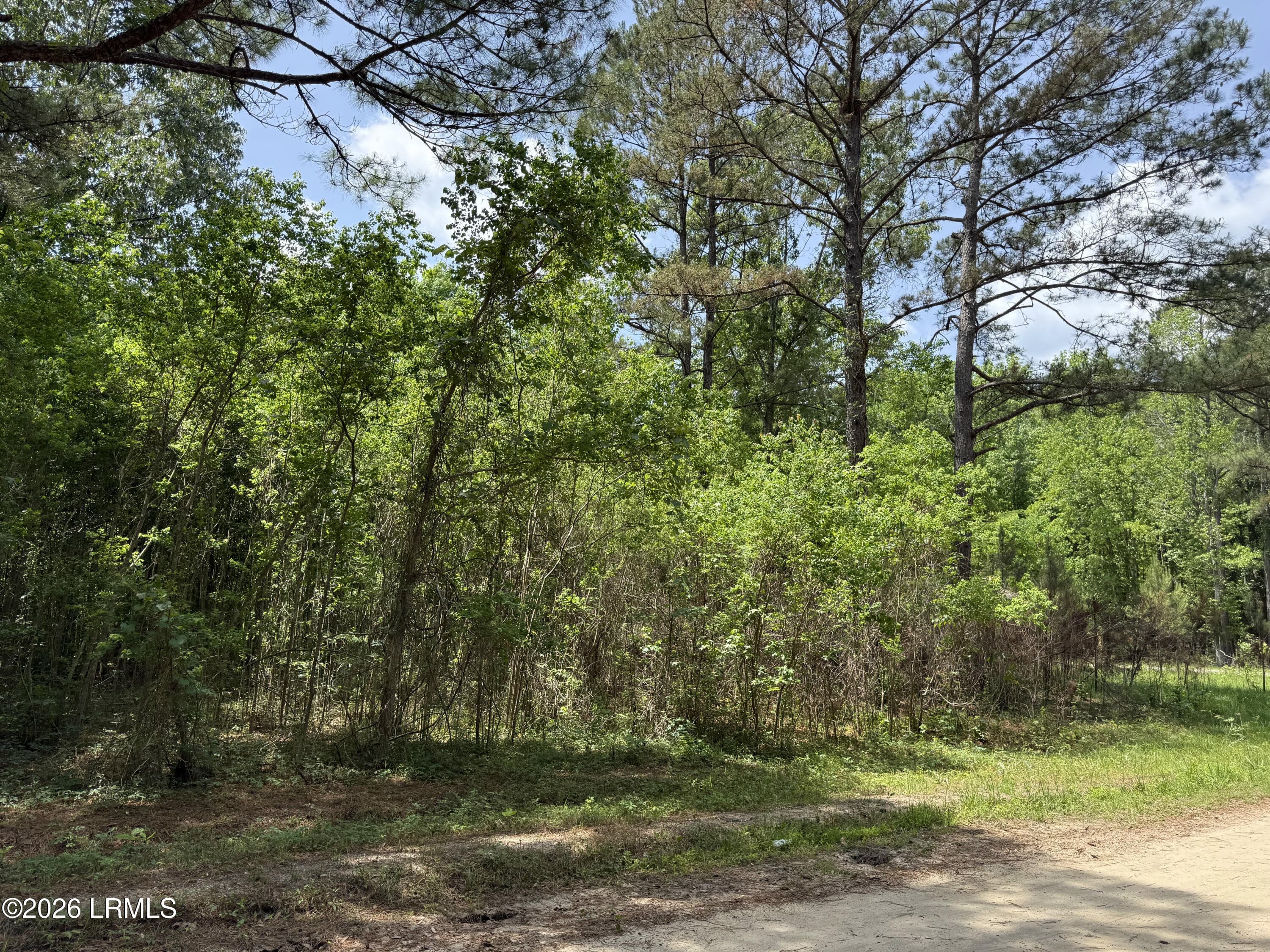 IMG_6098 - 12 Rubie Lane, Yemassee, SC 29945