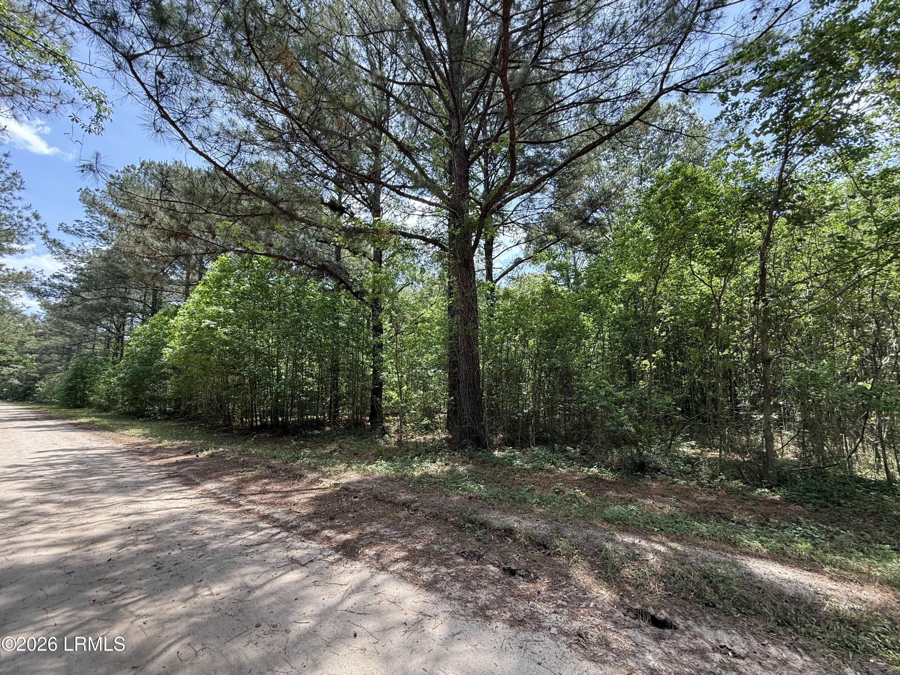 IMG_6100 - 12 Rubie Lane, Yemassee, SC 29945