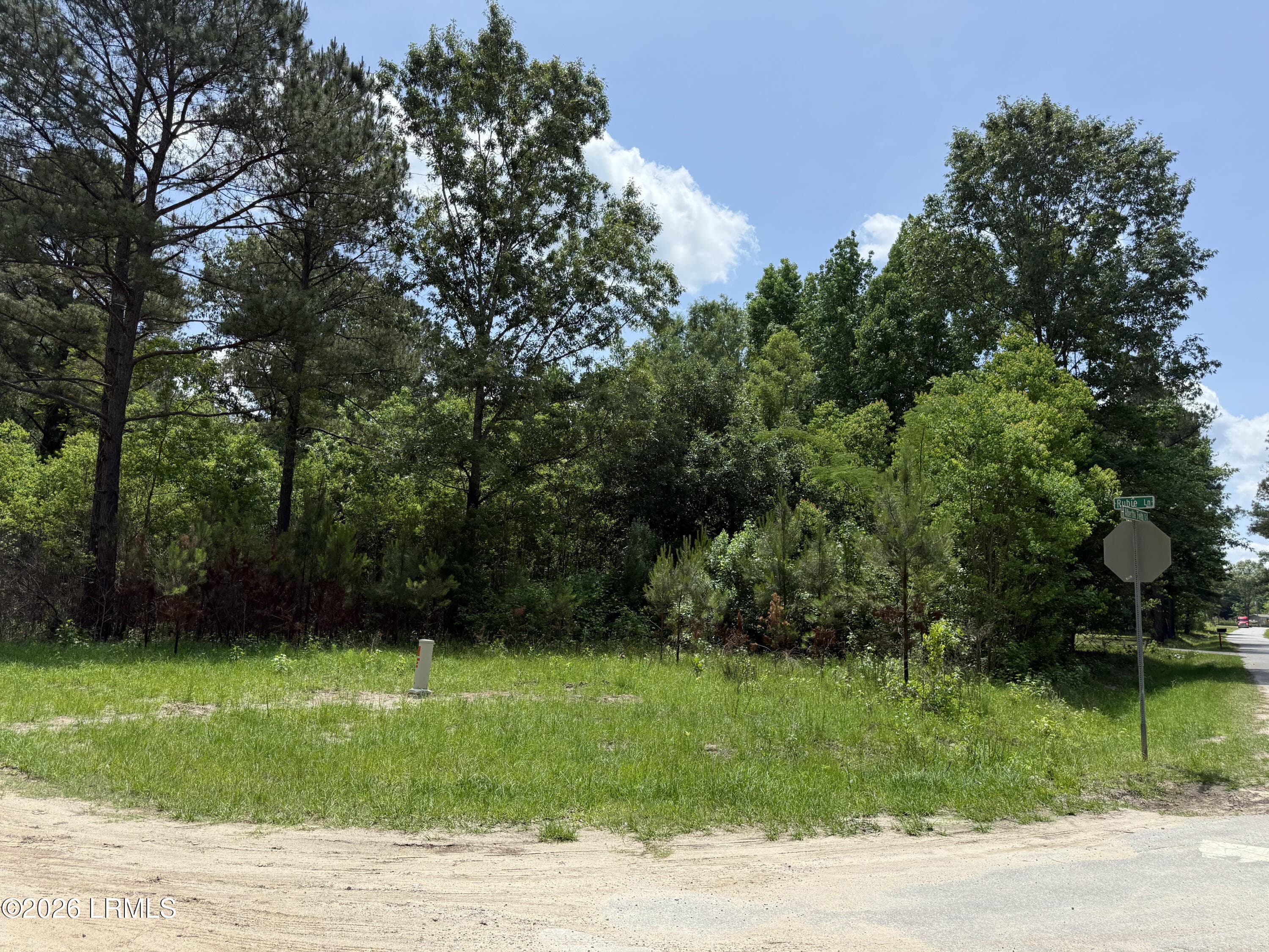 IMG_6103 - 12 Rubie Lane, Yemassee, SC 29945