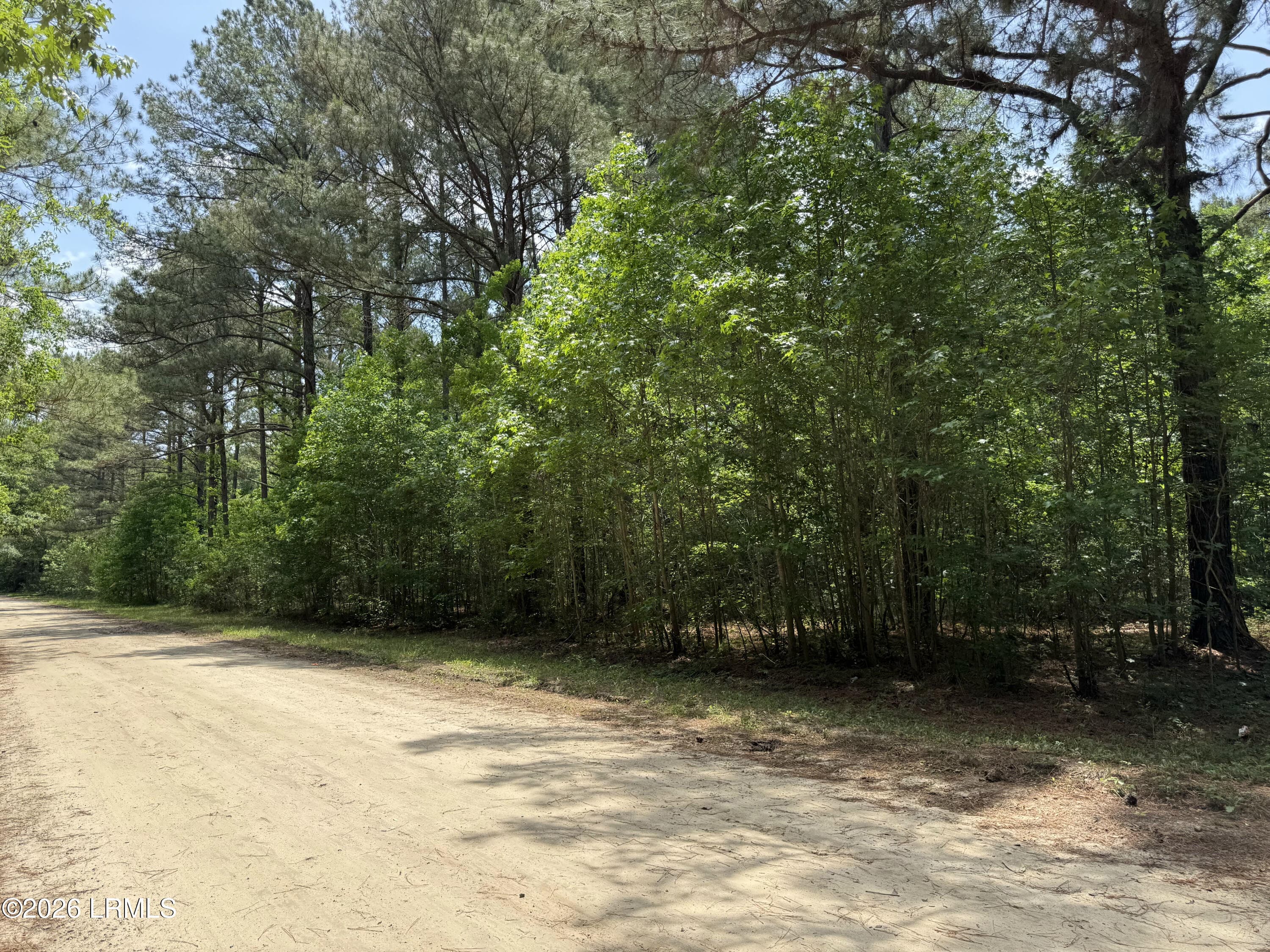 IMG_6107 - 12 Rubie Lane, Yemassee, SC 29945