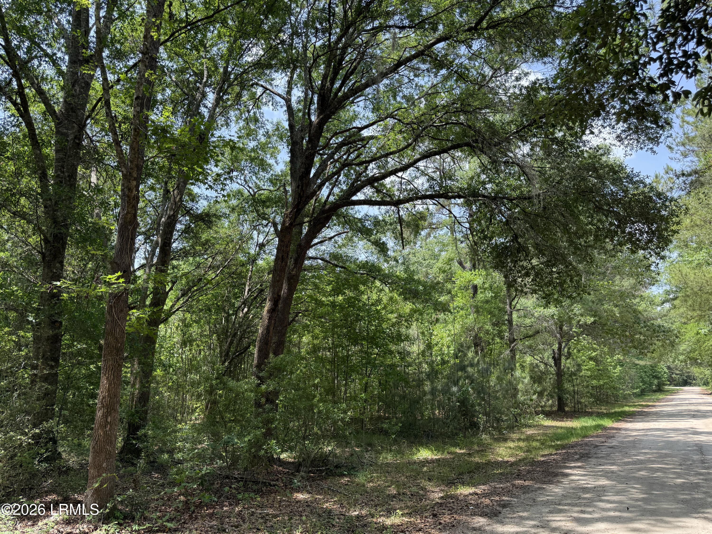 IMG_6108 - 12 Rubie Lane, Yemassee, SC 29945