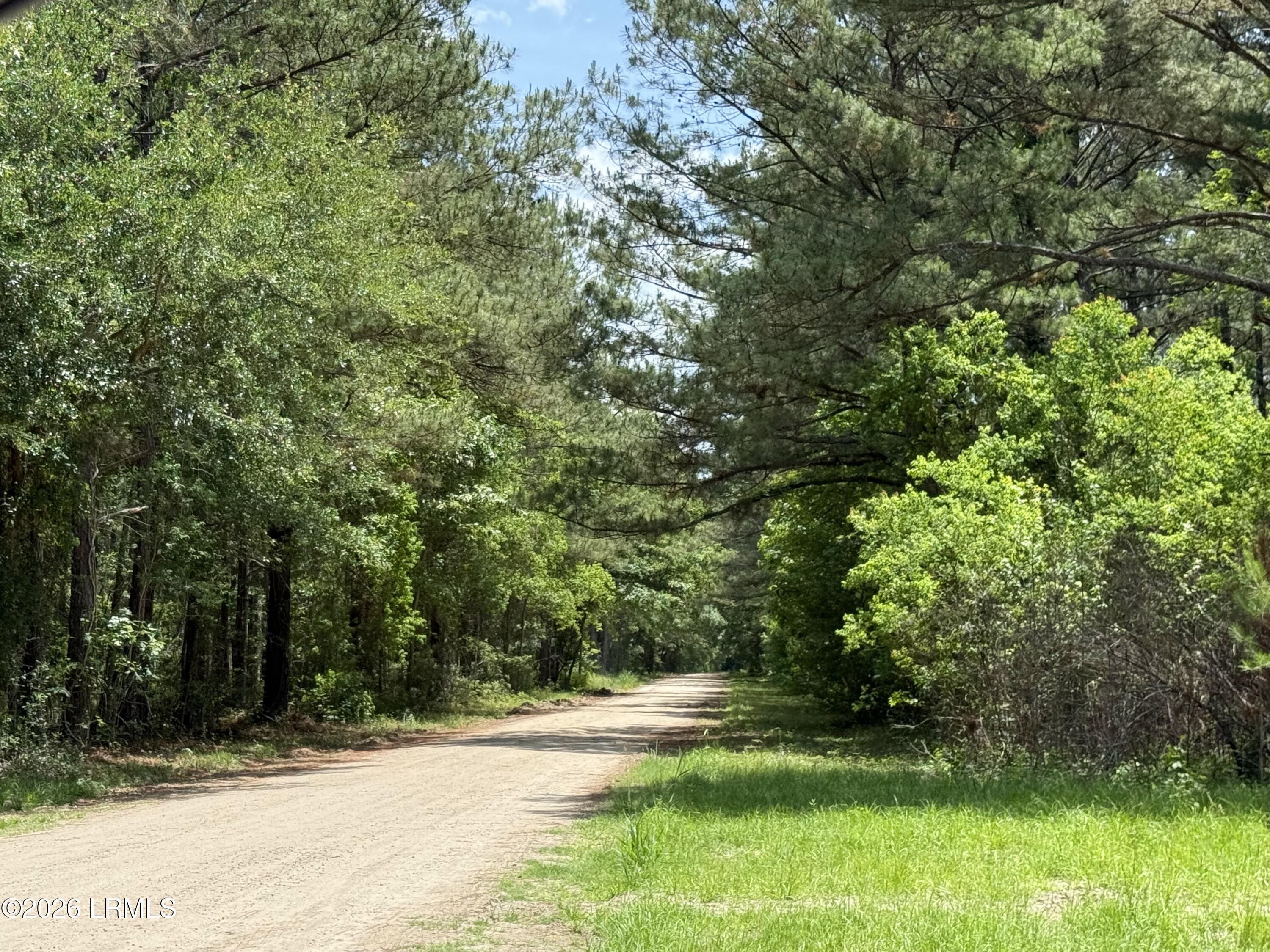 IMG_6111 - 12 Rubie Lane, Yemassee, SC 29945