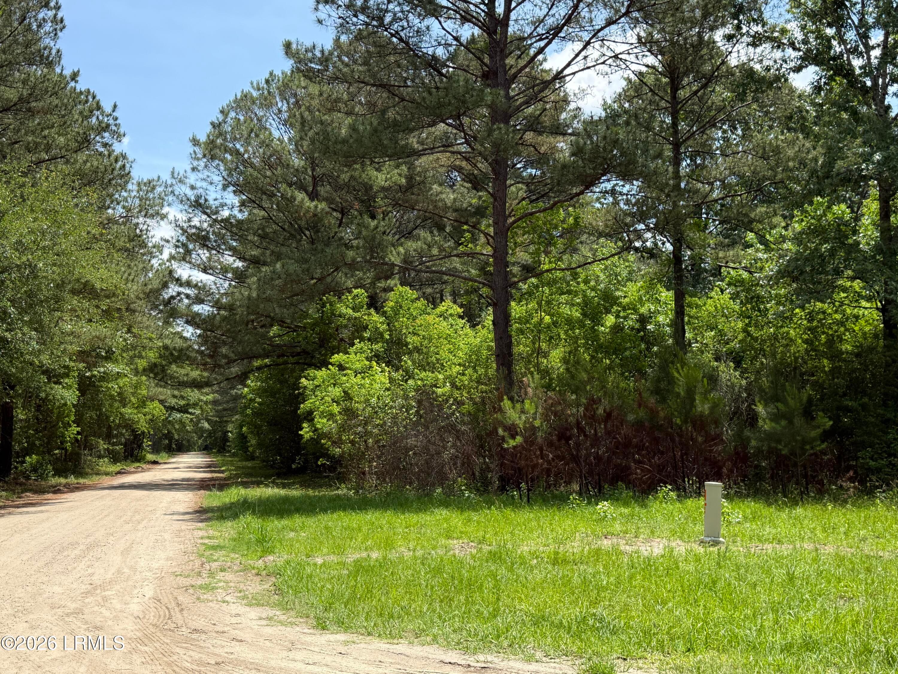 IMG_6113 - 12 Rubie Lane, Yemassee, SC 29945