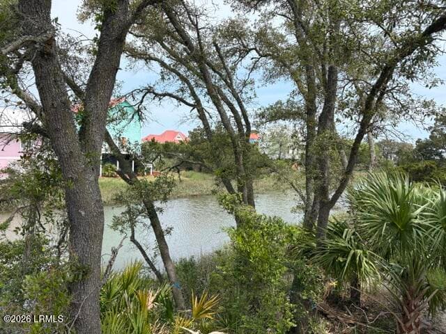 IMG_8022 - 86 Harbour Key Drive, St. Helena Island, SC 29920