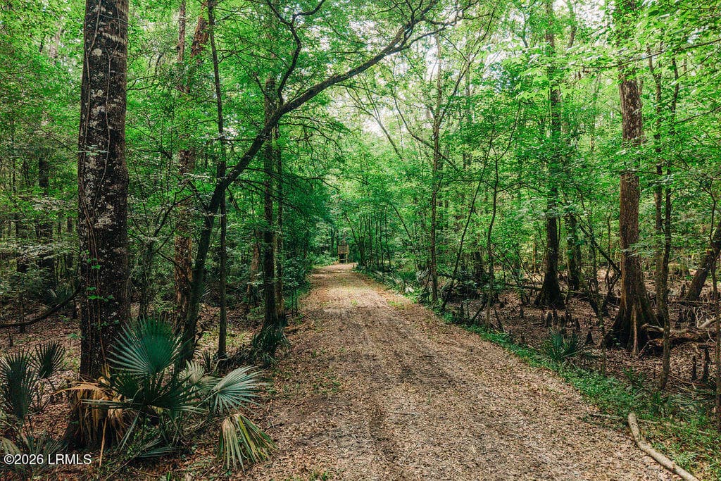 DJI_20260511111737_0104_D - 1 Parnel Road, Cope, SC 29038