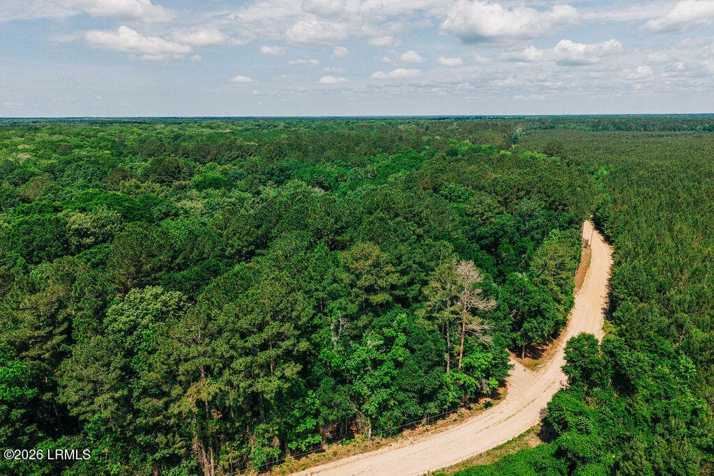 DJI_20260511112735_0120_D - 1 Parnel Road, Cope, SC 29038