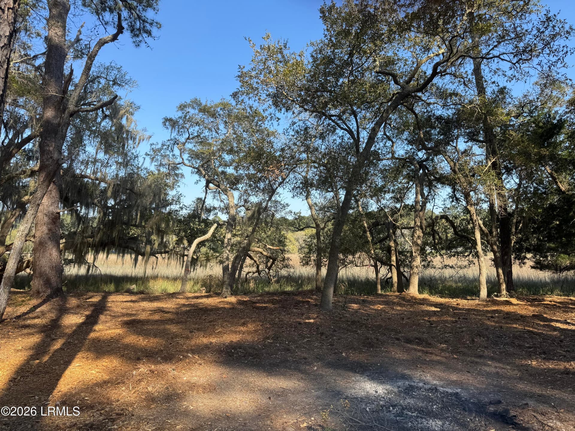 ground level - 14 River Drive, Beaufort, SC 29907