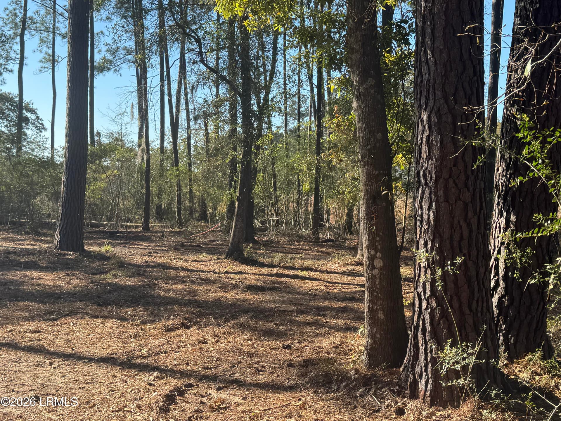 01 - 14 River Drive, Beaufort, SC 29907