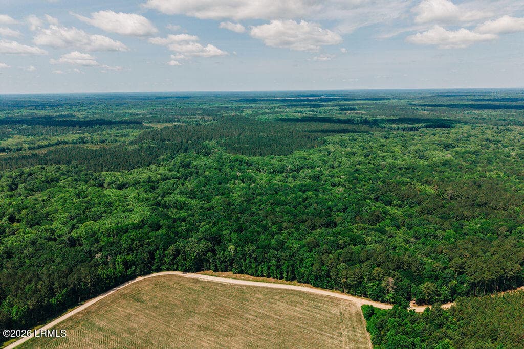DJI_20260511112844_0122_D - 0 Parnel Road, Cope, SC 29038