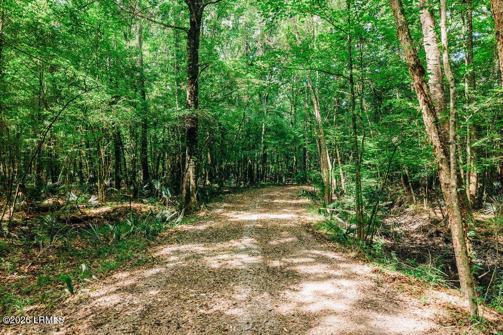 DJI_20260511111622_0100_D - 0 Parnel Road, Cope, SC 29038