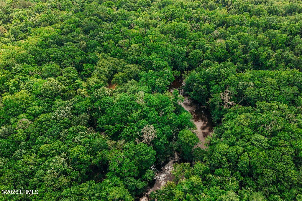 DJI_20260511113954_0136_D - 0 Parnel Road, Cope, SC 29038