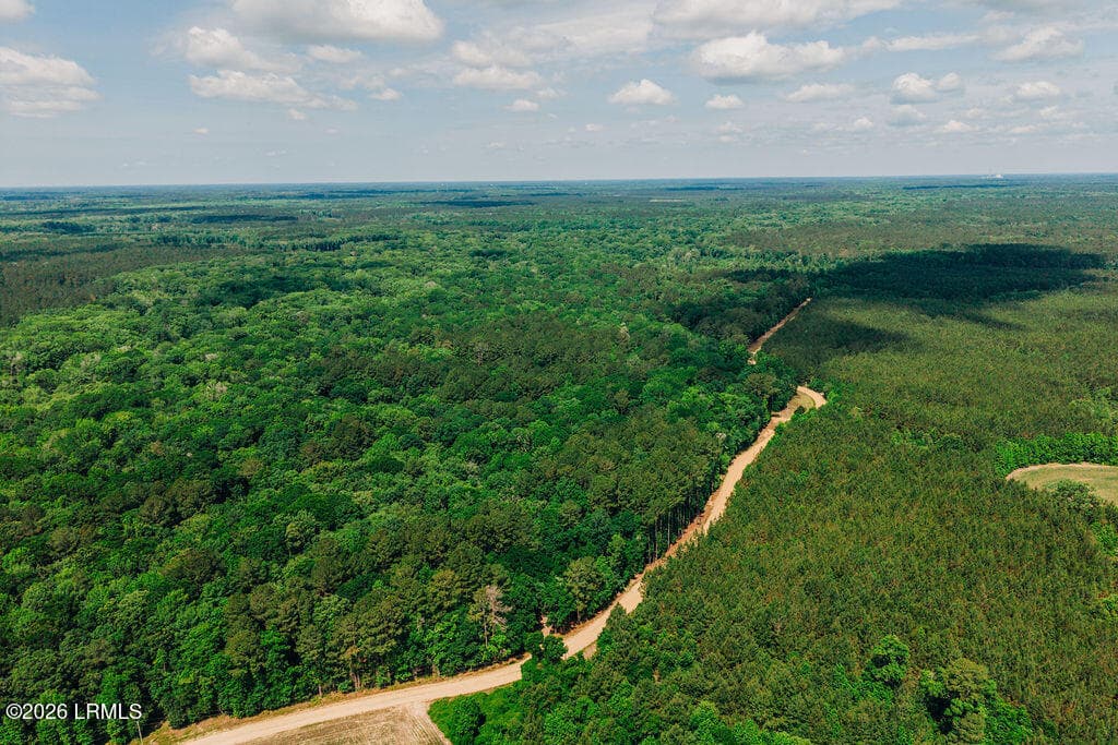 DJI_20260511112352_0110_D - 0 Parnel Road, Cope, SC 29038