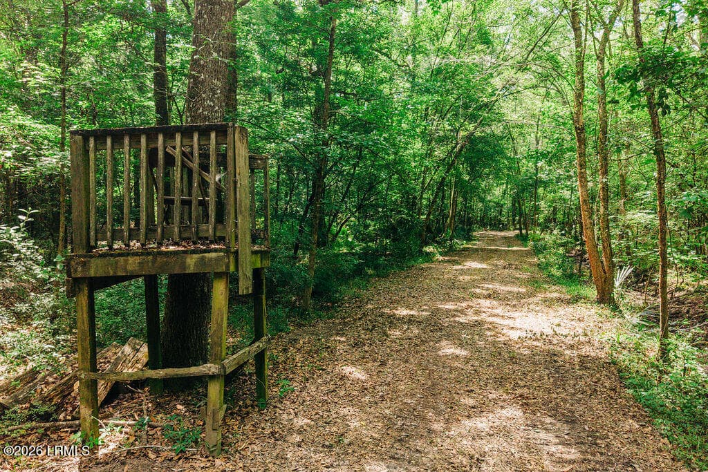 DJI_20260511111831_0107_D - 0 Parnel Road, Cope, SC 29038