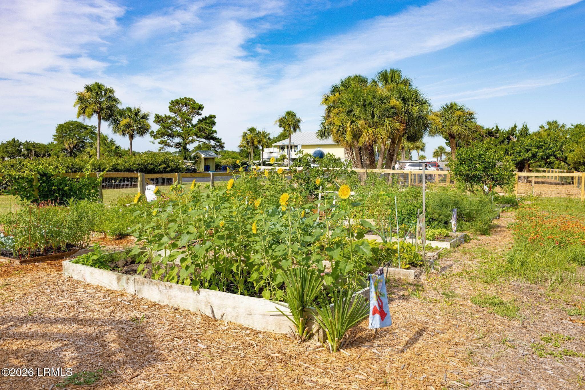 Community Garden - 4 Cedar Reef Drive B203, St. Helena Island, SC 29920