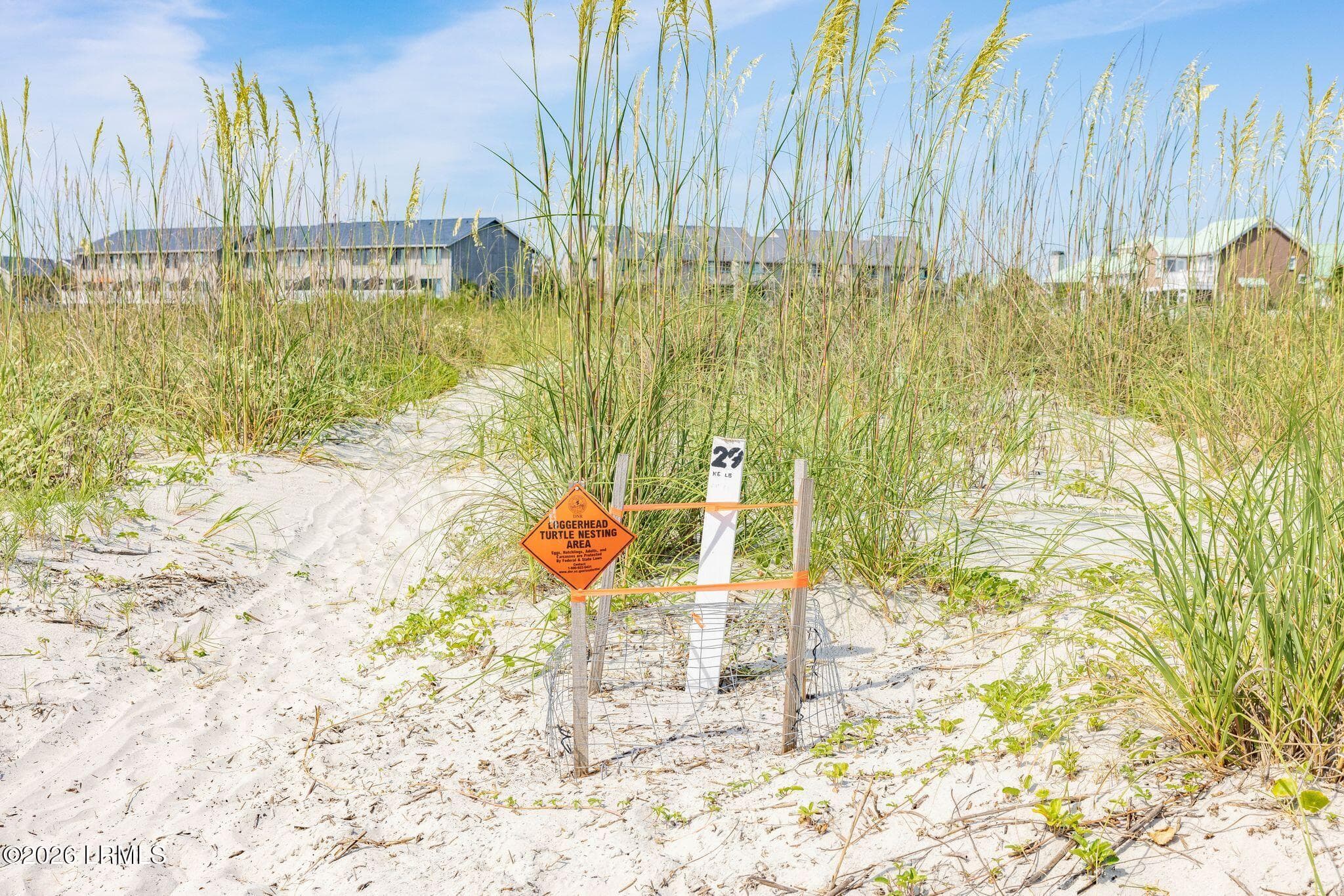 Turtle nest on beach - 4 Cedar Reef Drive B203, St. Helena Island, SC 29920