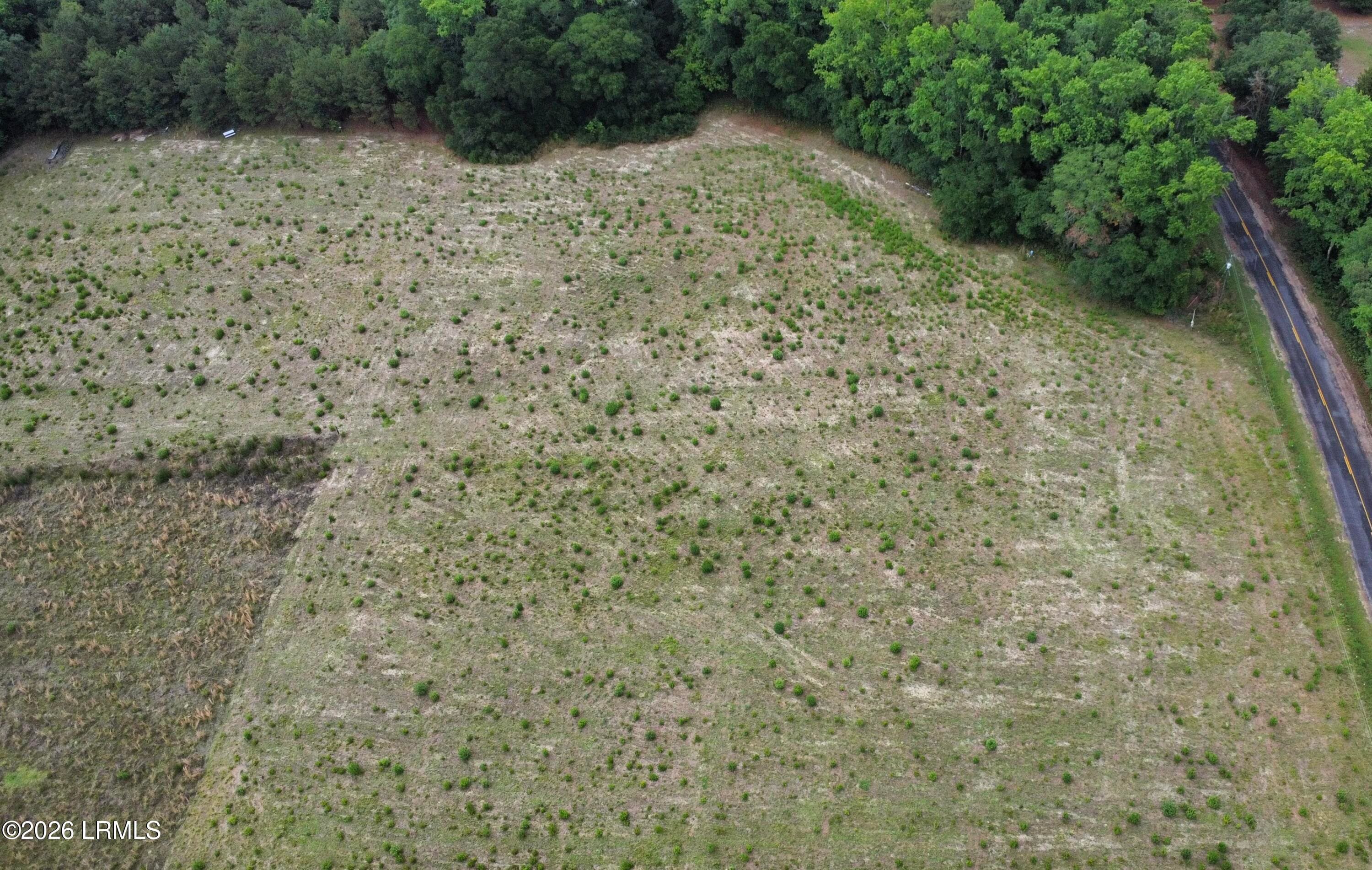 dji_fly_20260525_171952_263_177974420342 - Tbd Mullings Ford Road, Brunson, SC 29911