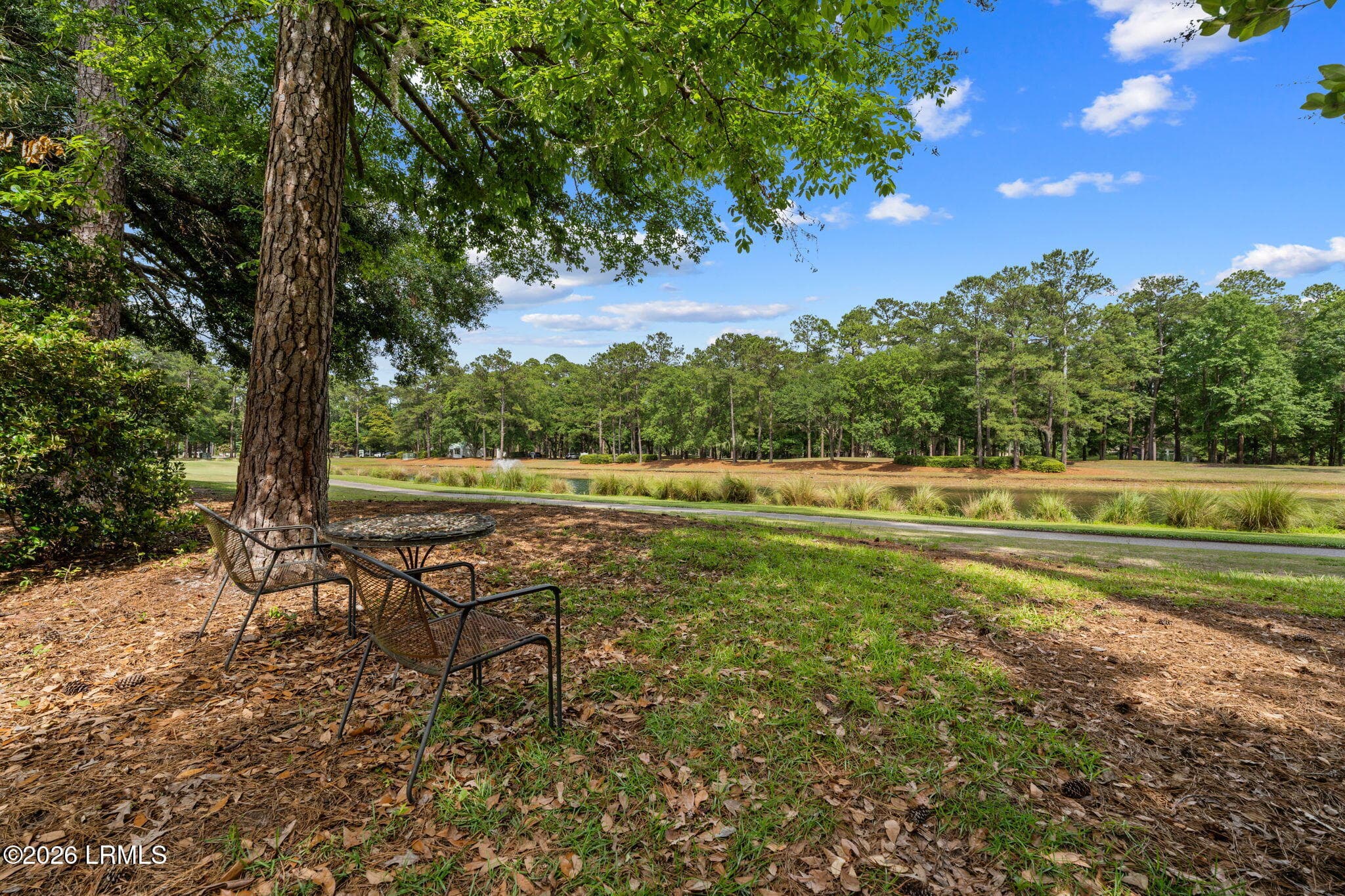 51-web-or-mls-DSC08898 - 172 Sumter Square, Bluffton, SC 29910