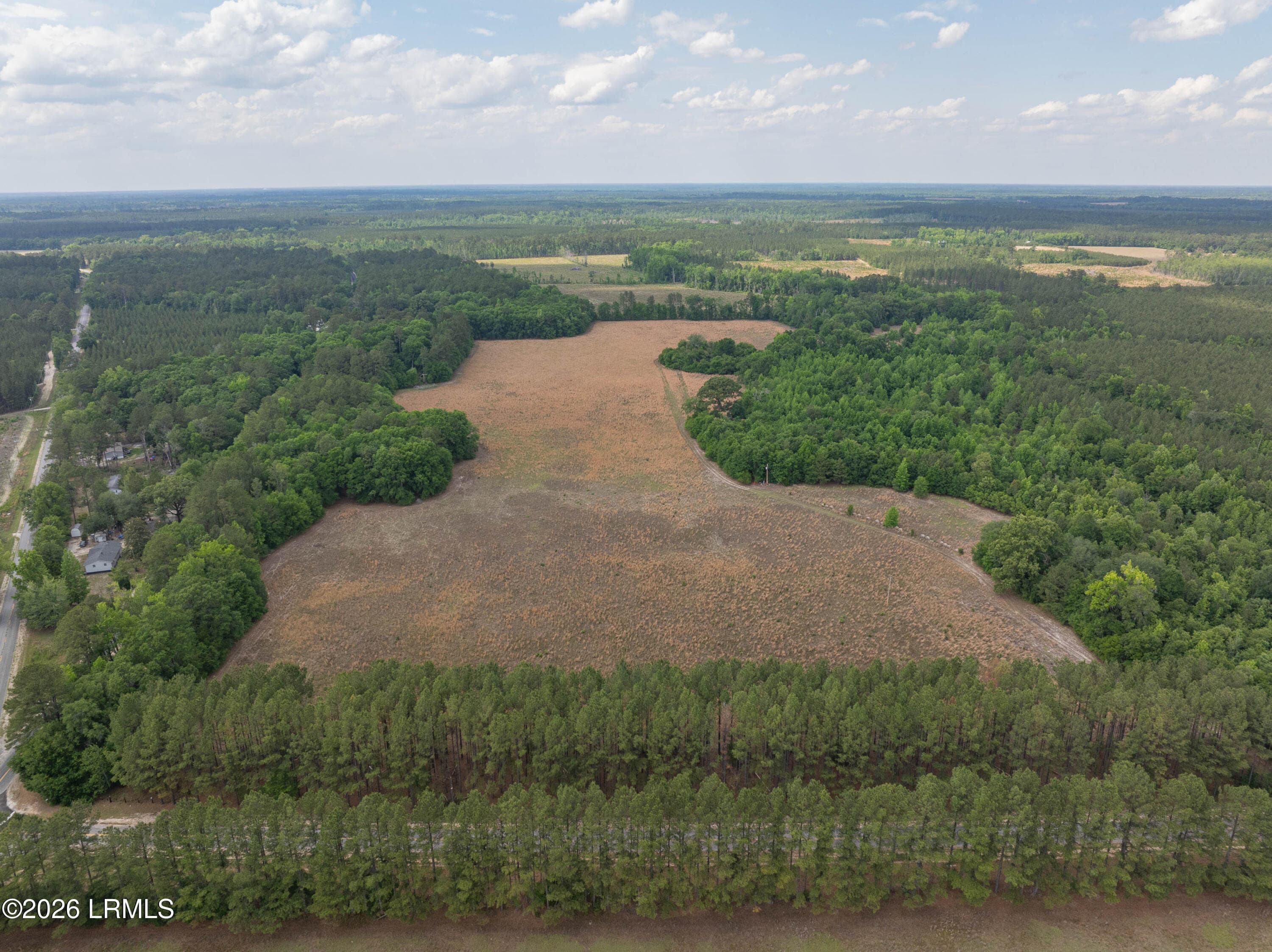 Brunson Land-20 - 26378 Old Salkehatchie Highway, Brunson, SC 29911