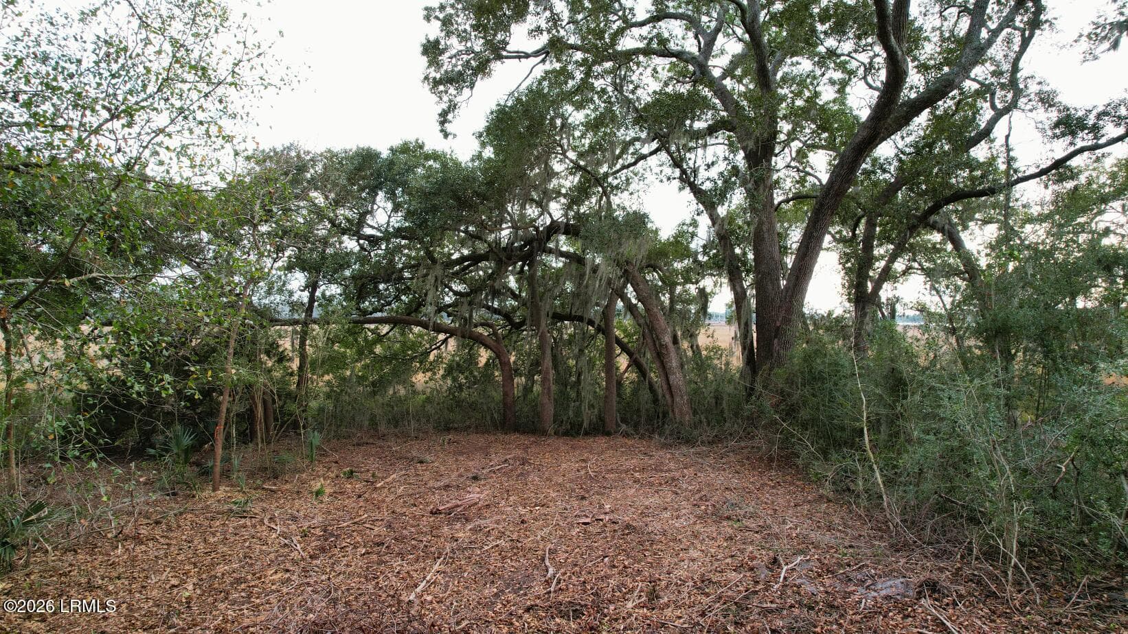 PPB_LotView - 481 Paige Point Bluff, Seabrook, SC 29940, Seabrook