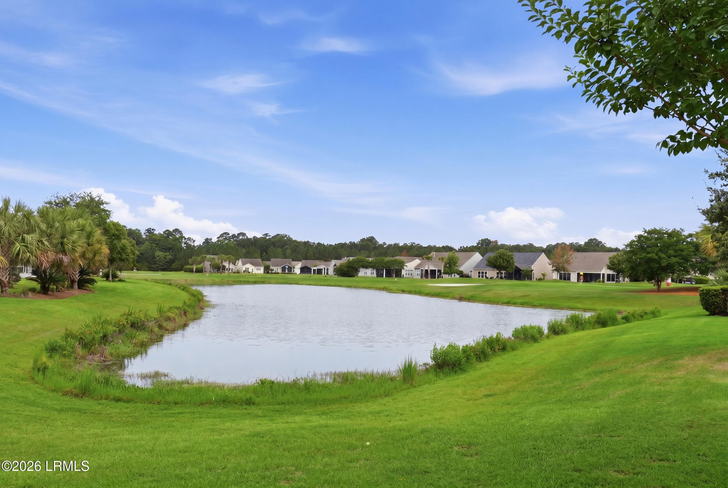 46_034_3k2a2699_grass_06b585cb - 361 Fernleaf Lane, Bluffton, SC 29909