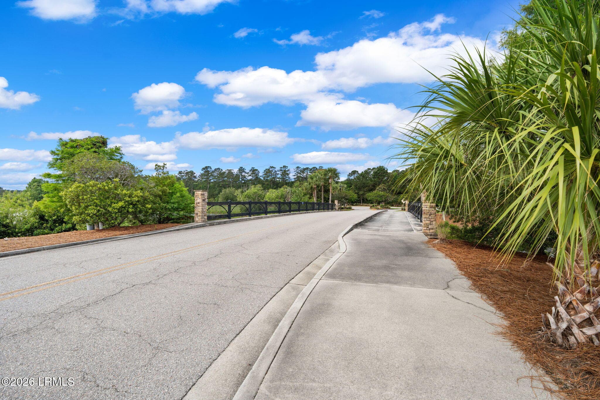 61-web-or-mls-DSC03341 - 707 Wiregrass Way, Hardeeville, SC 29927