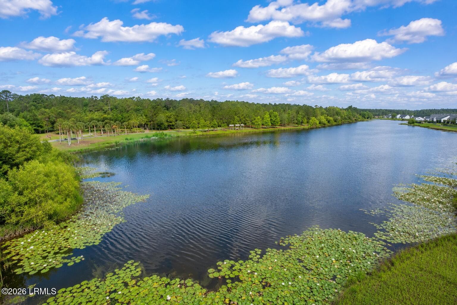 ChatGPT Image Jun 2, 2026, 10_35_29 AM - 707 Wiregrass Way, Hardeeville, SC 29927