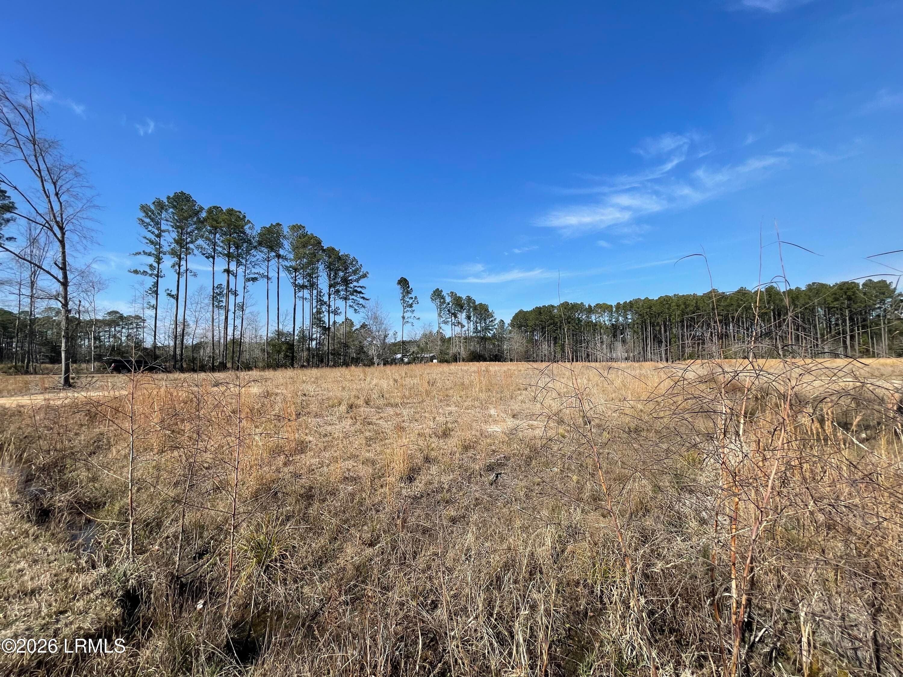 IMG_7138 - 3763 Rice Shire Road, Ridgeland, SC 29936